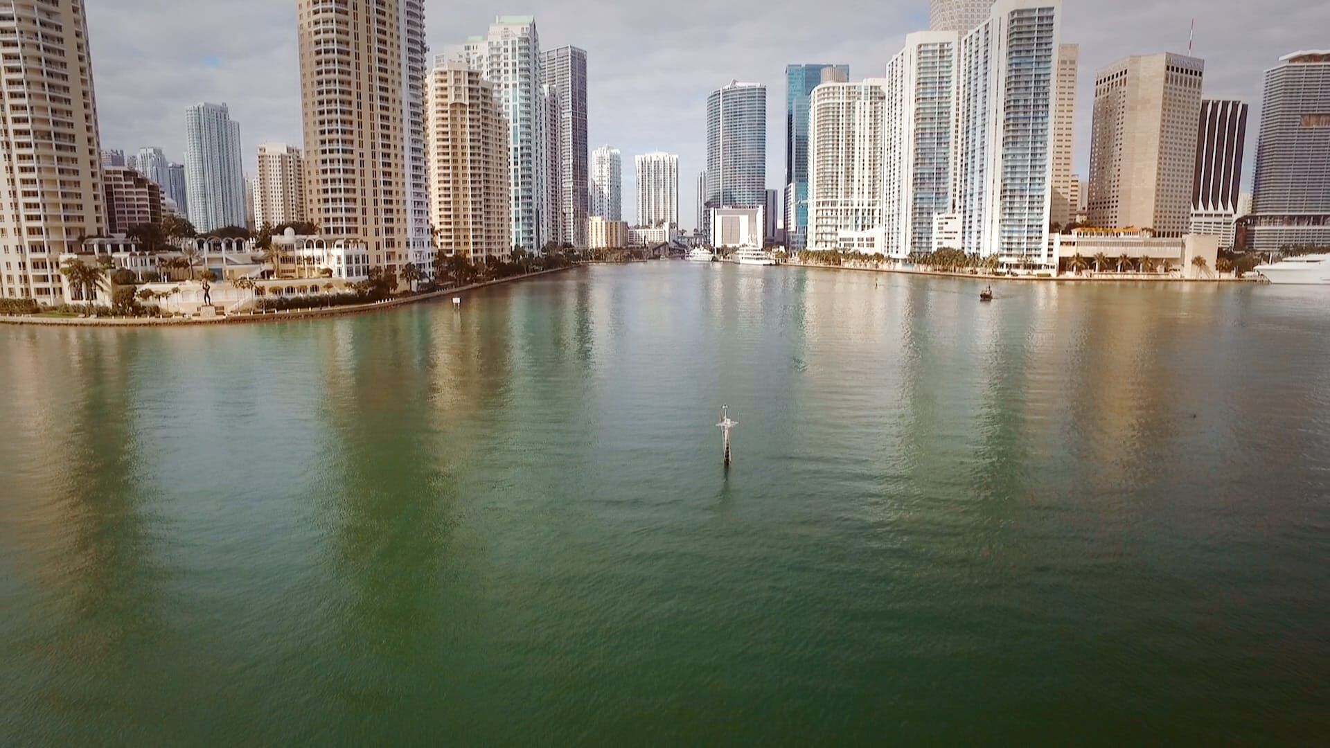 Amerikas Flüsse: Der Miami River – Krokodile und Kreuzfahrtschiffe