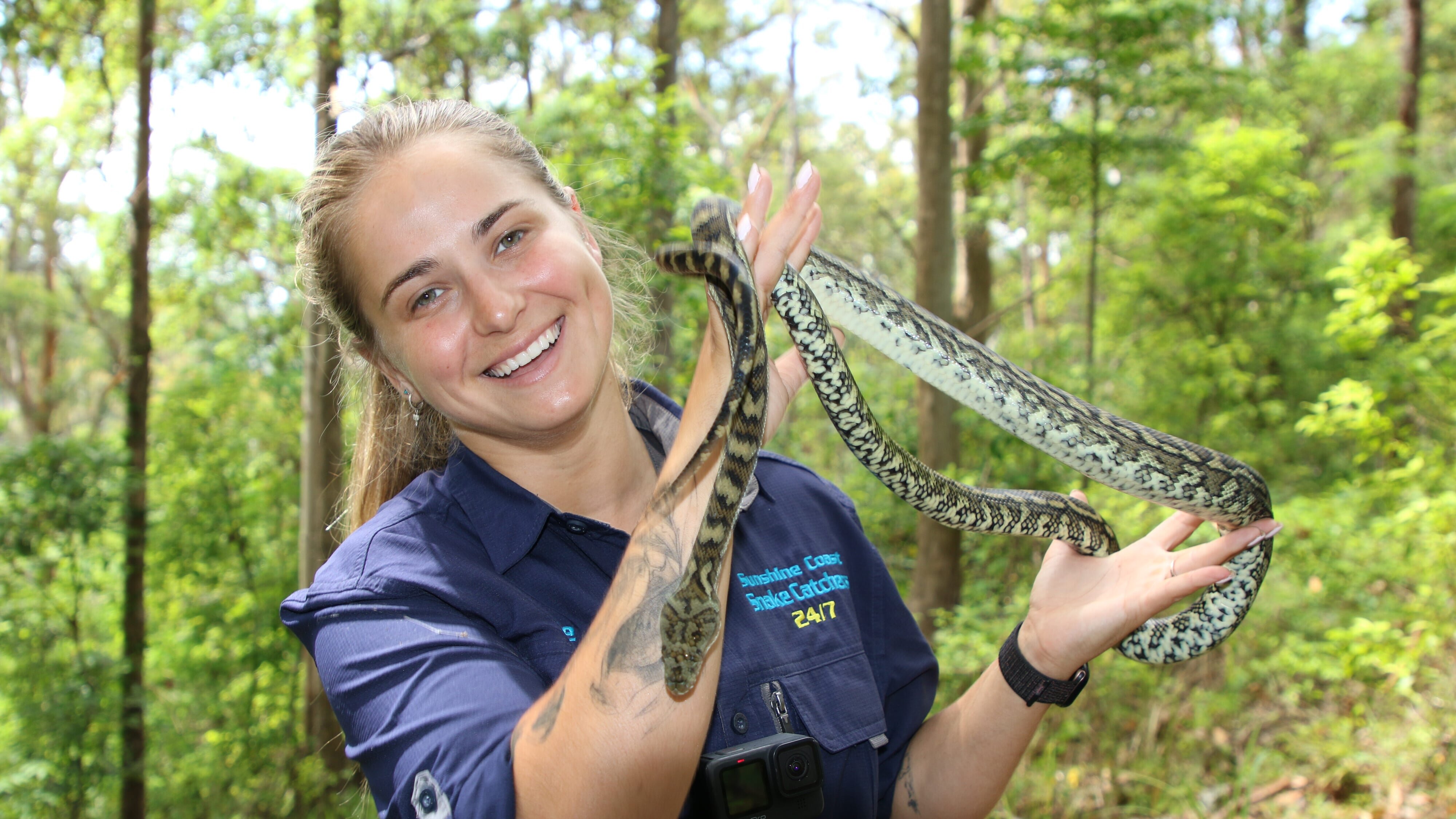 Snake Security – Schlangenalarm in Australien