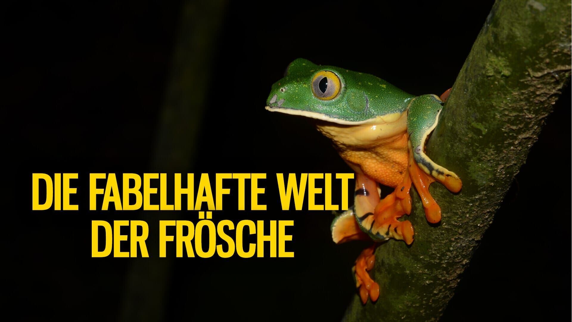 Die fabelhafte Welt der Frösche