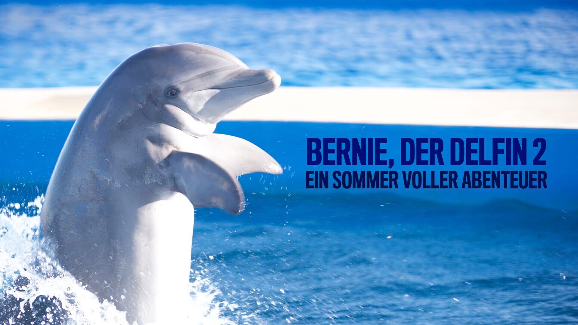 Bernie, der Delfin – Ein Sommer voller Abenteuer