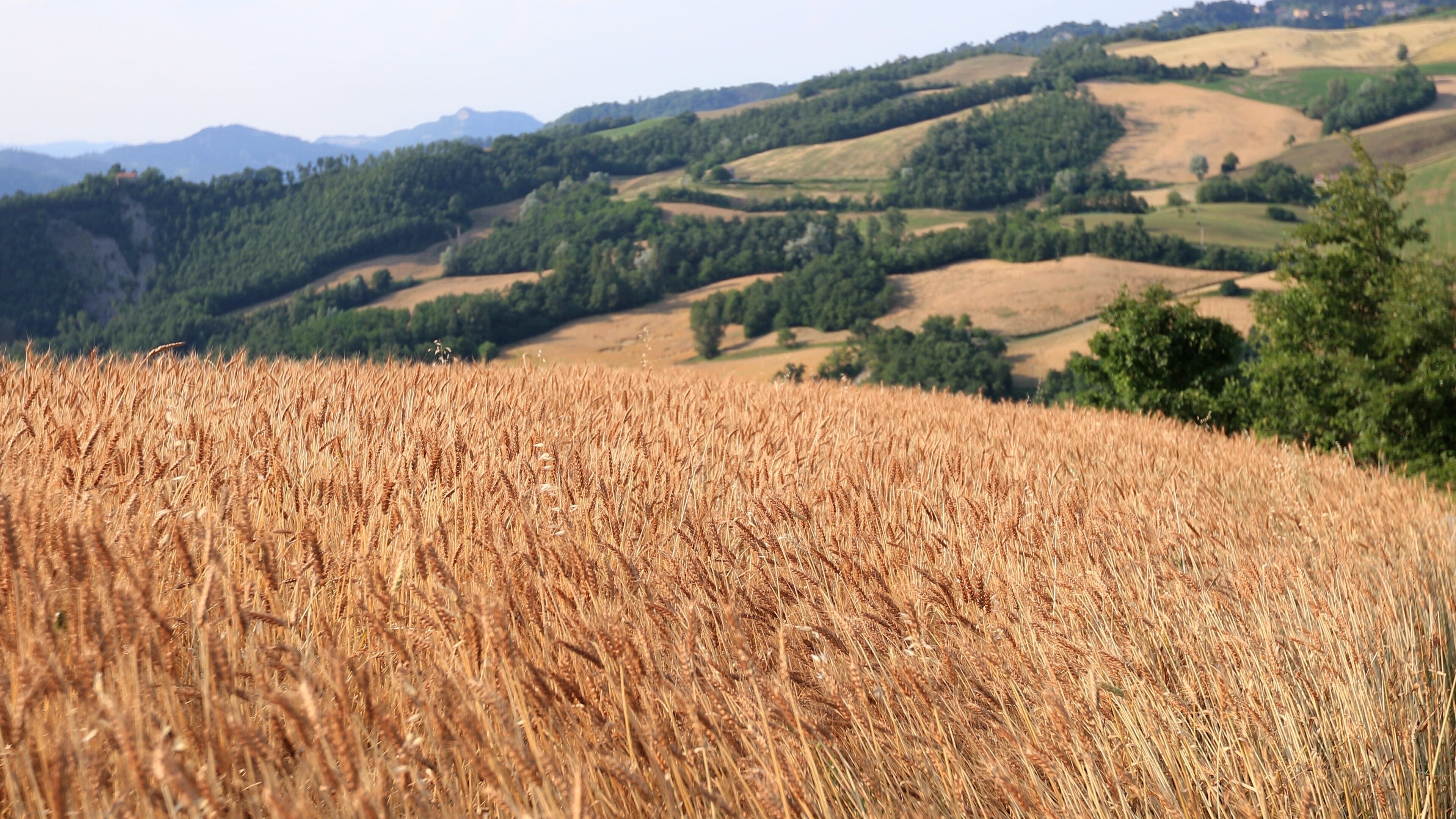 Emilia-Romagna – Italiens Genussregion