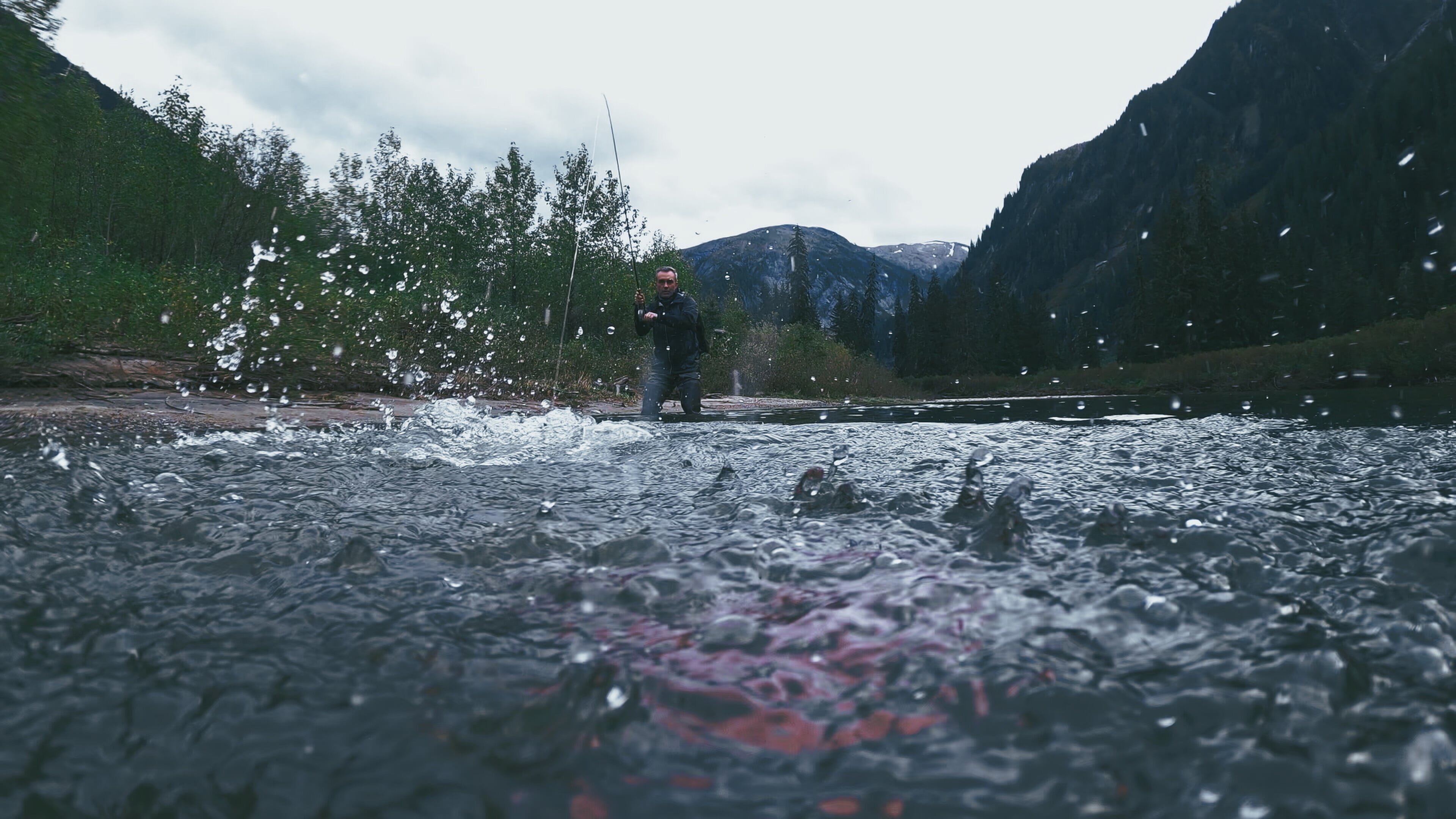 Giganten unter Wasser – Riesenfischen auf der Spur