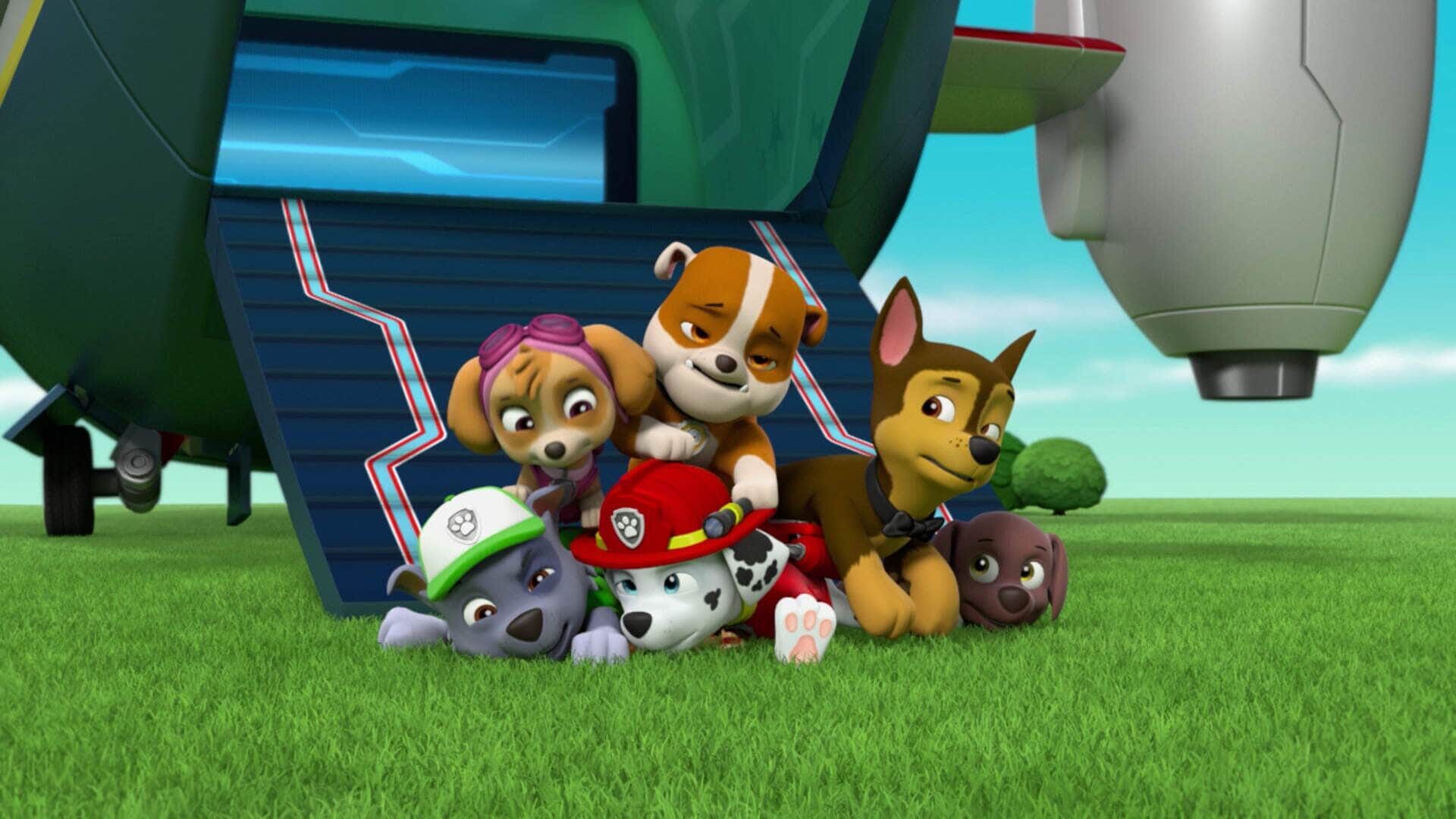 Paw Patrol – Helfer auf vier Pfoten