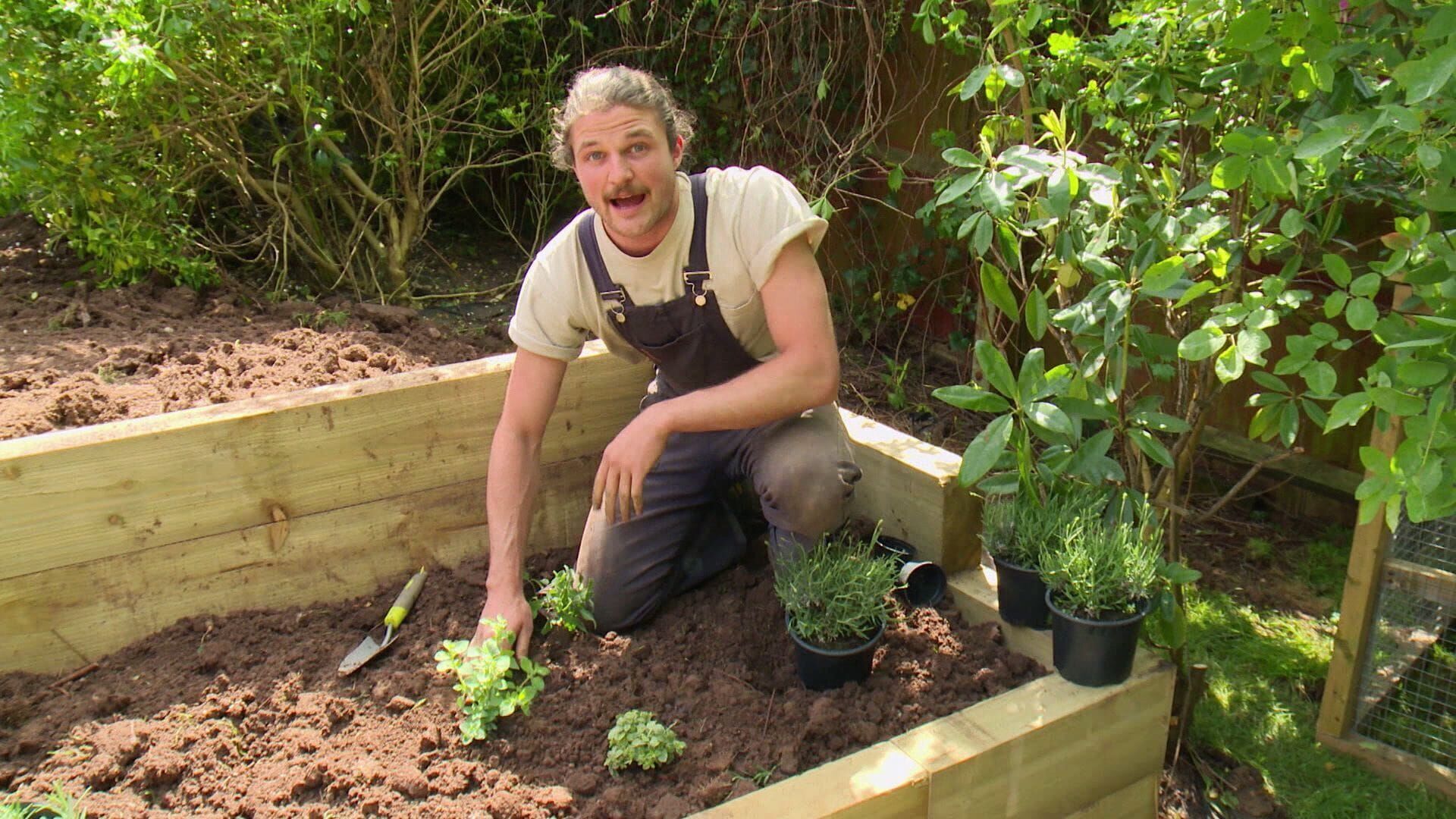 Wettkampf der Garten-Profis