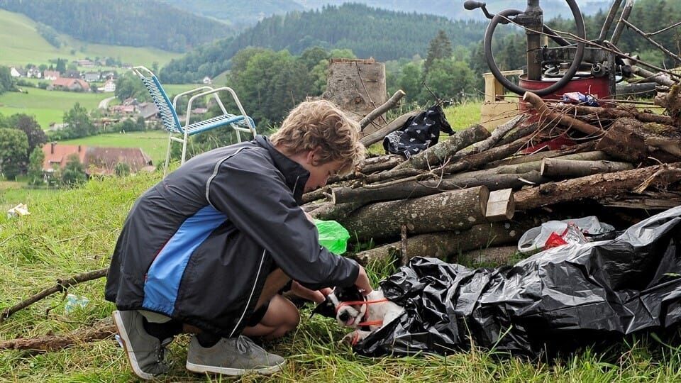 Tiere bis unters Dach
