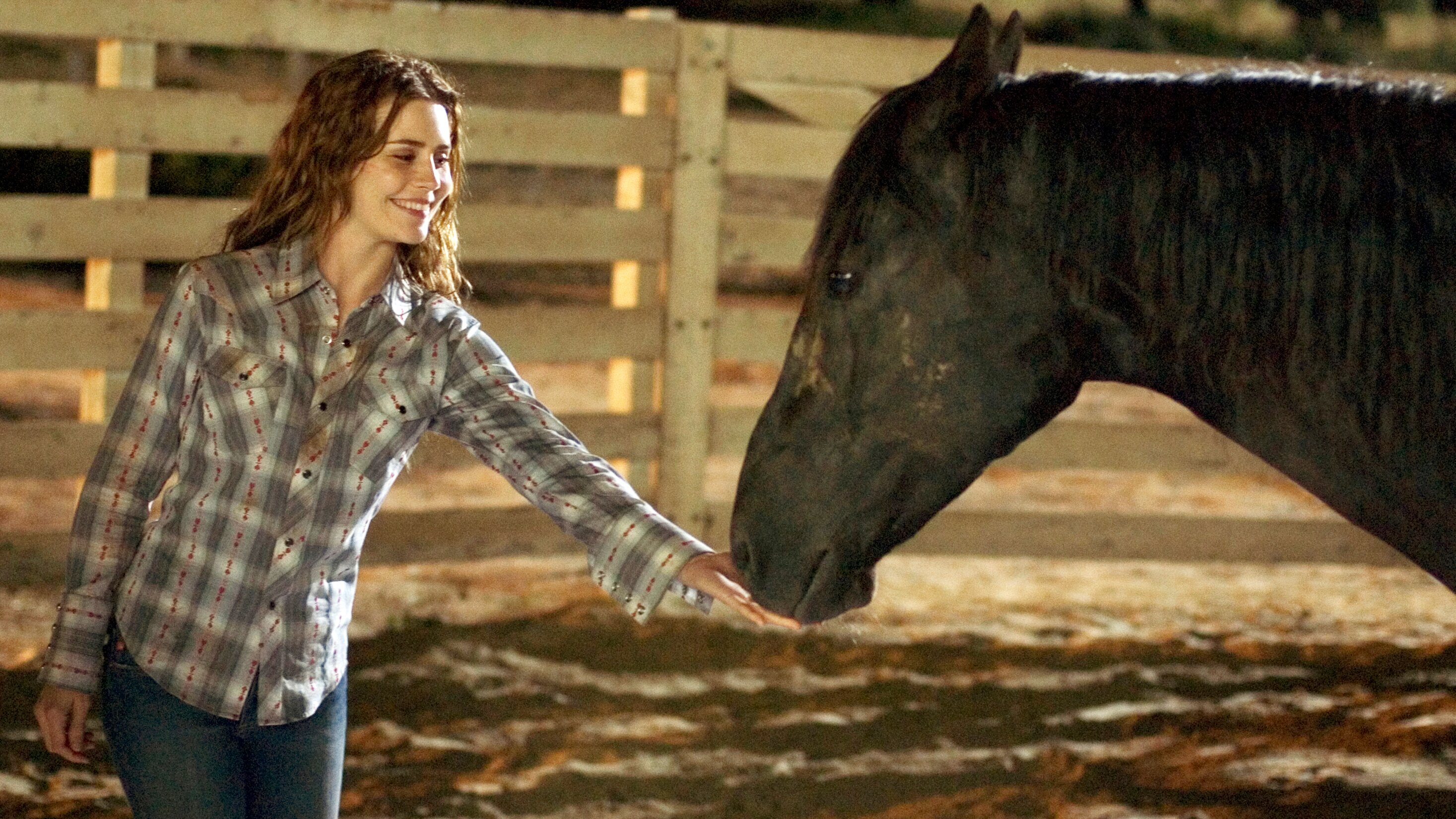 Flicka – Freiheit. Freundschaft. Abenteuer.