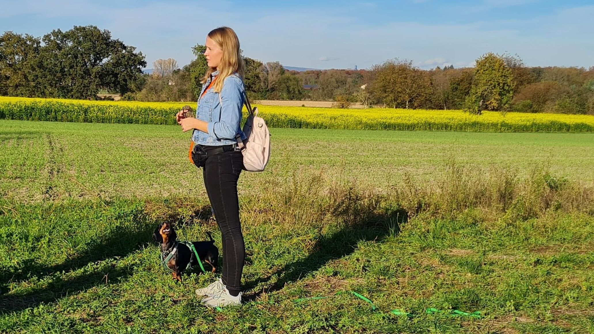 Der Hundeprofi – Rütters Team