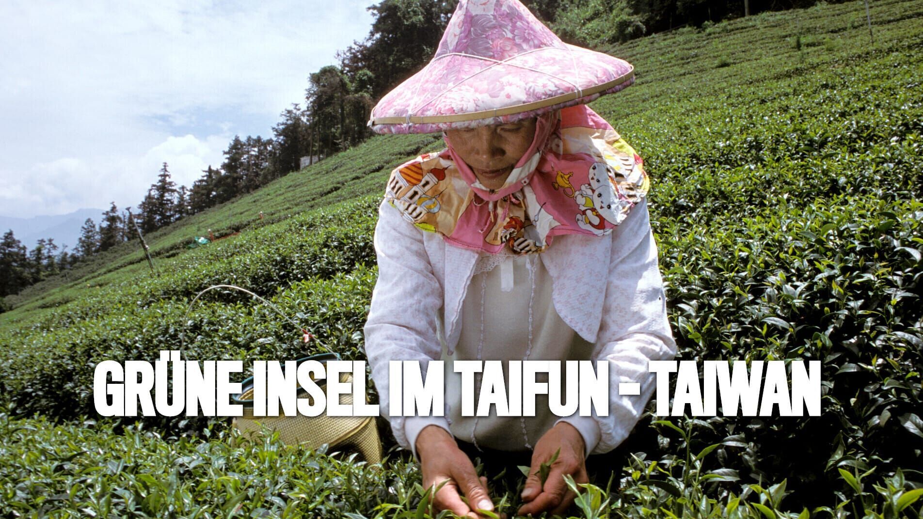 Grüne Insel im Taifun – Taiwan