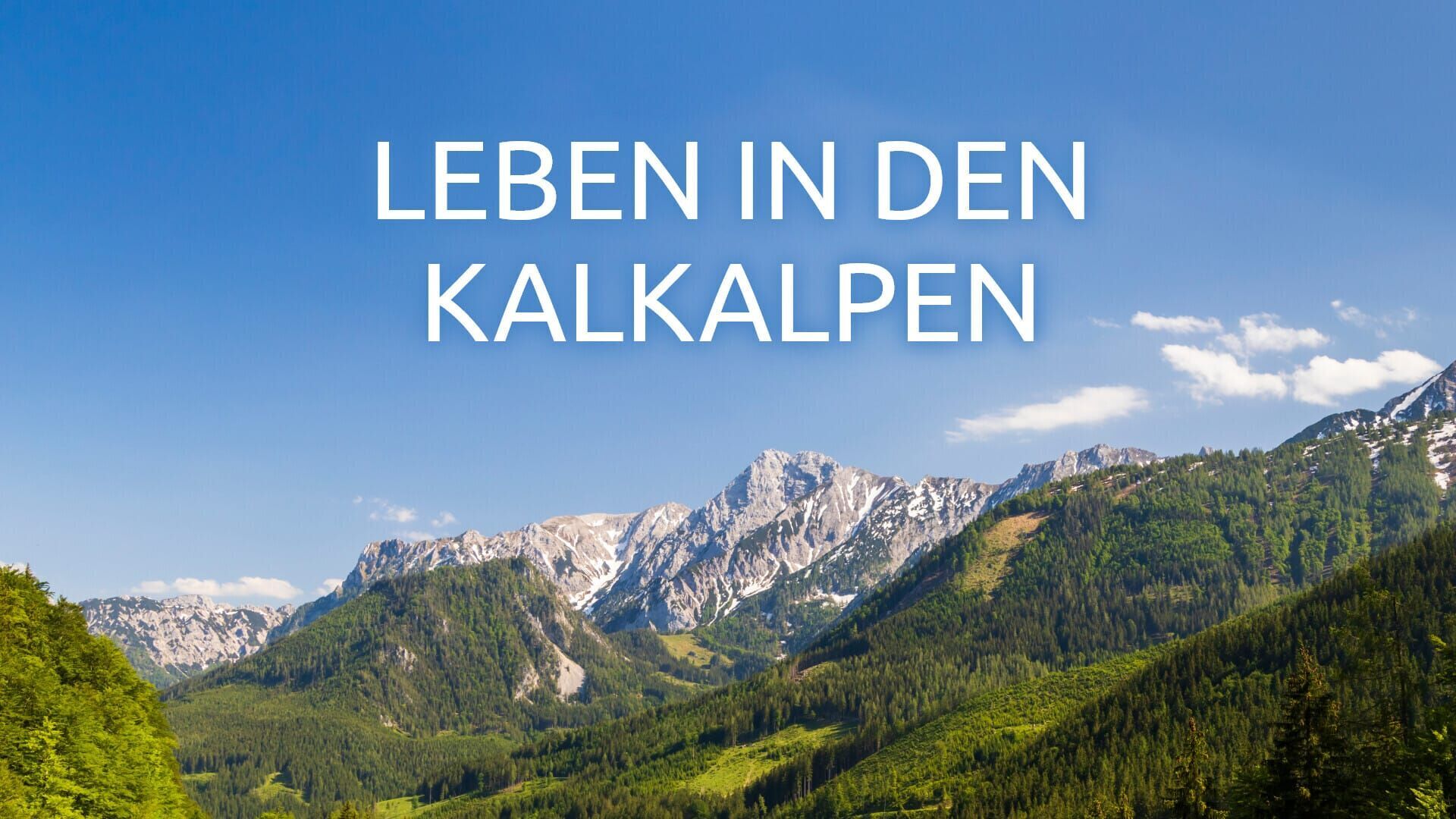 Leben in den Kalkalpen