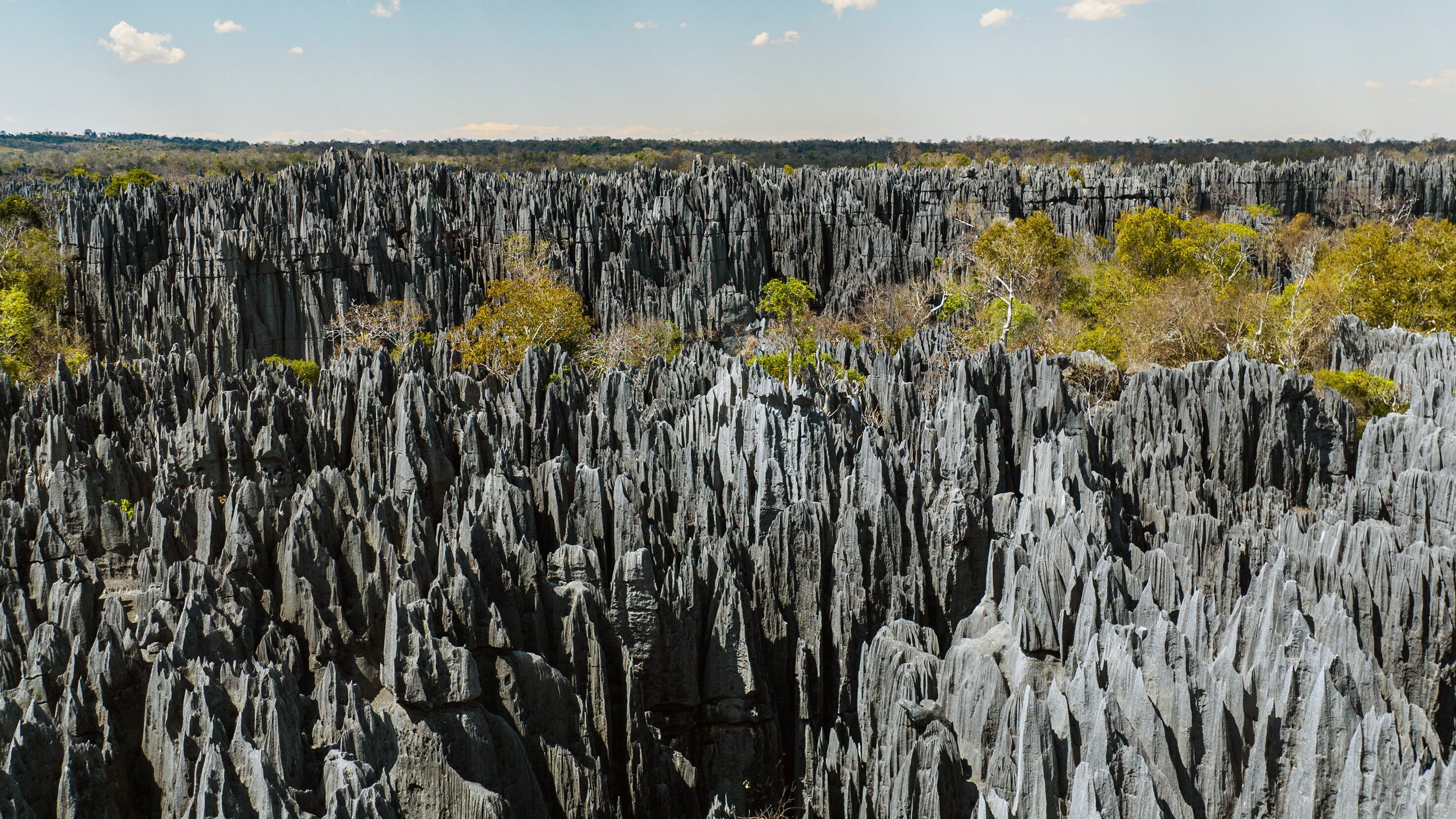 Madagaskar – Der achte Kontinent