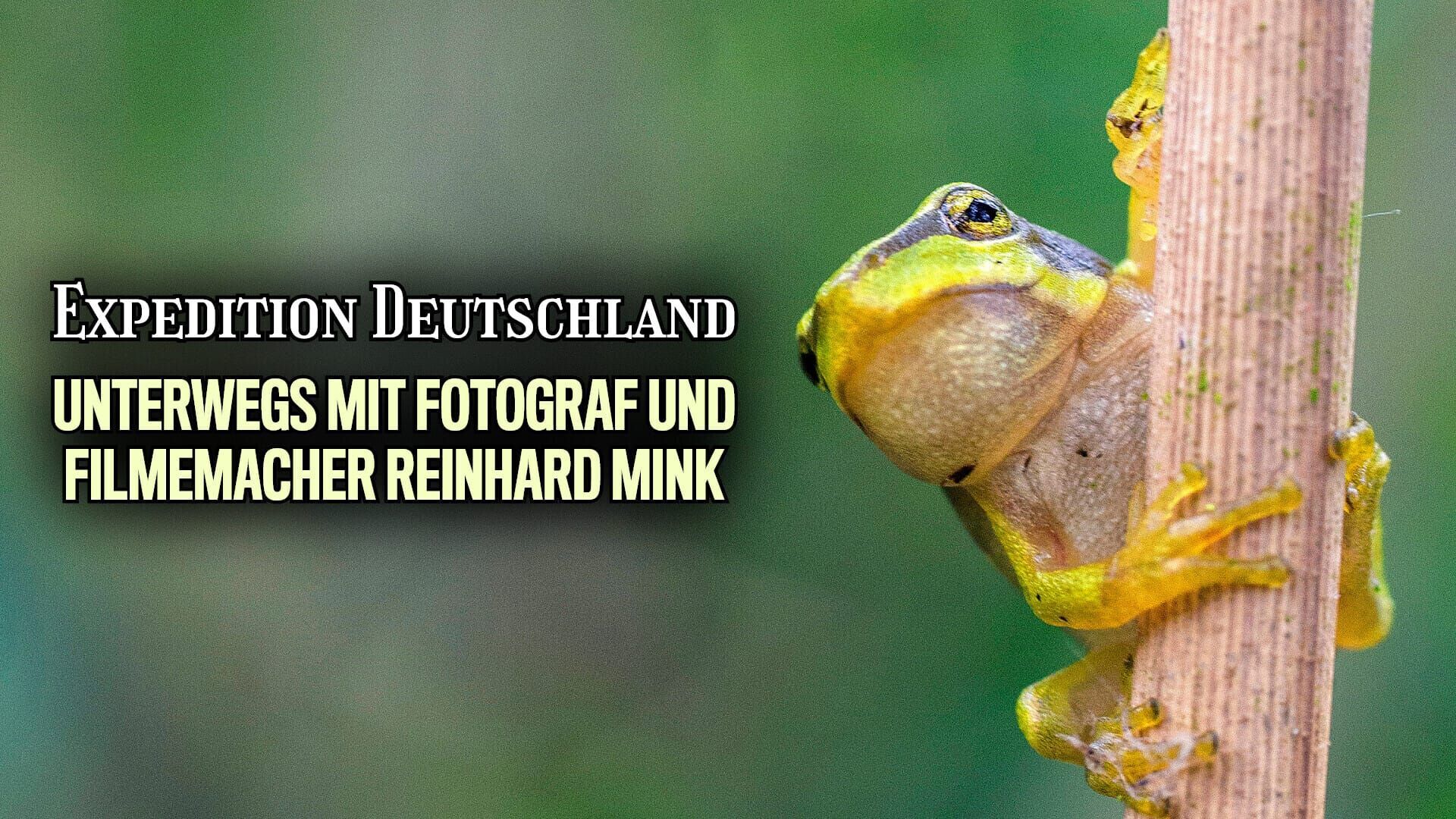 Expedition Deutschland – Unterwegs mit Tierfotograf und Filmemacher Reinhard Mink