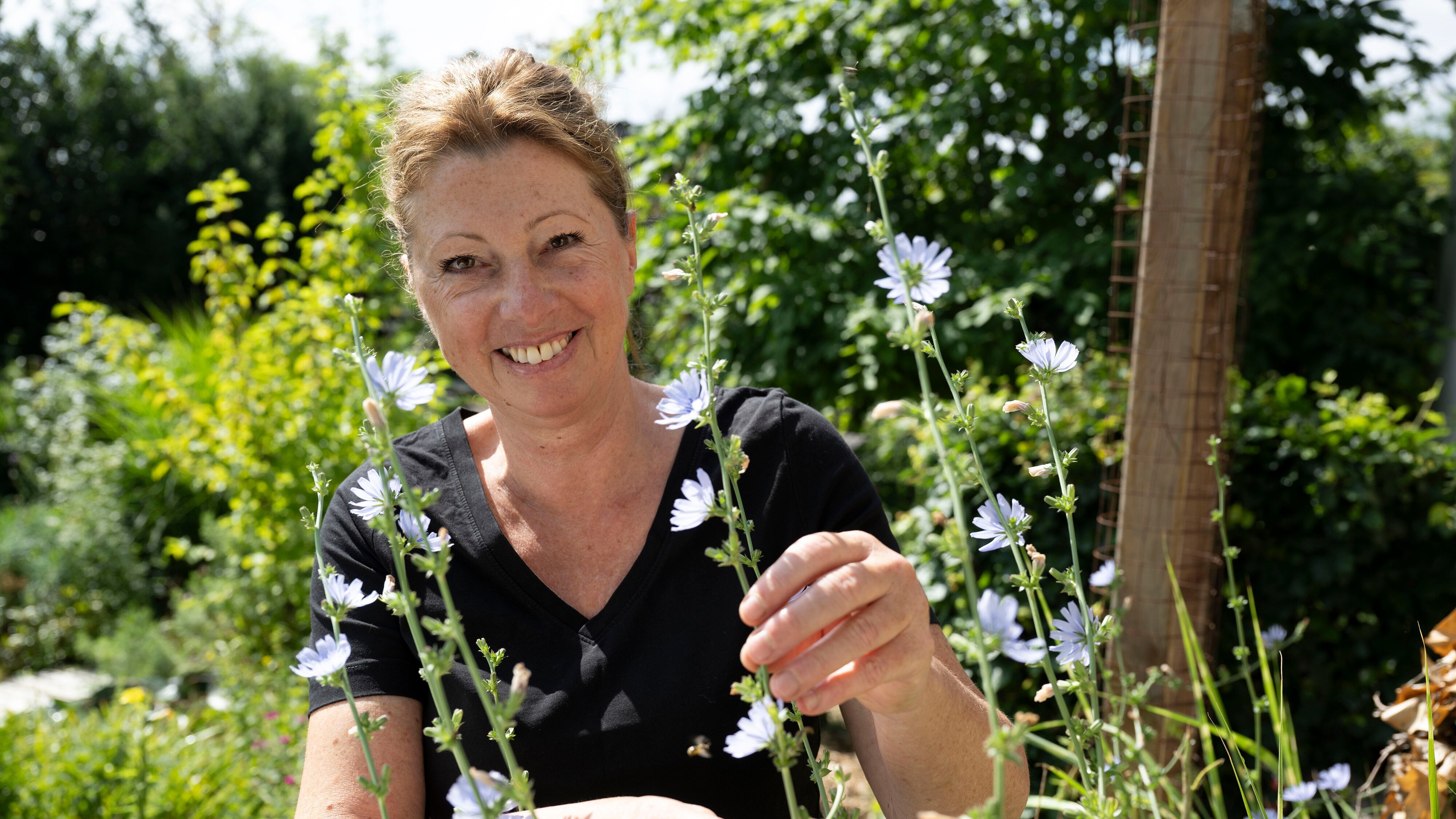 Garten & lecker