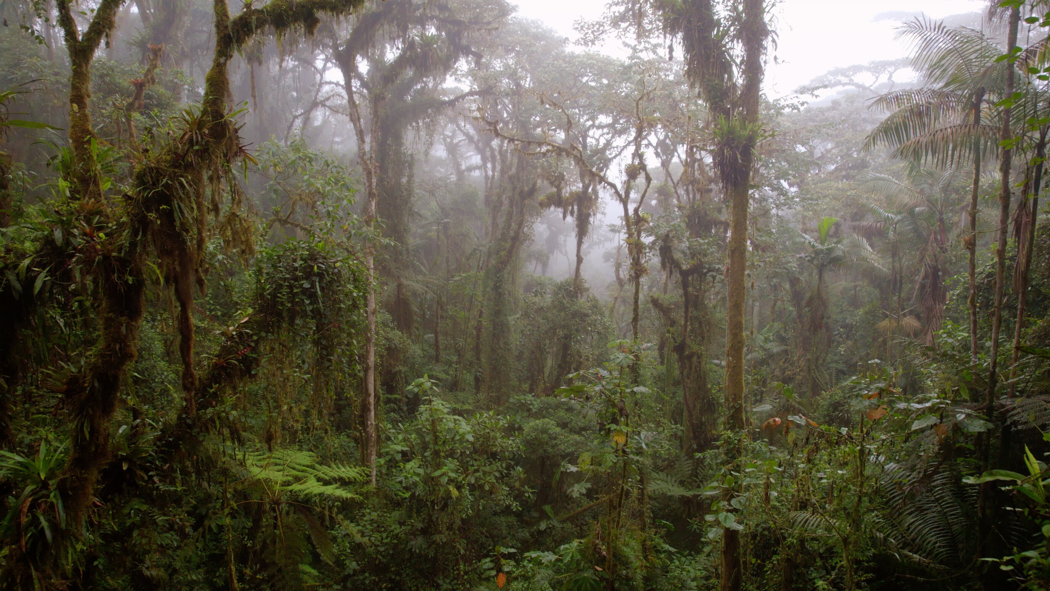 Ecuador, Hotspot der Artenvielfalt