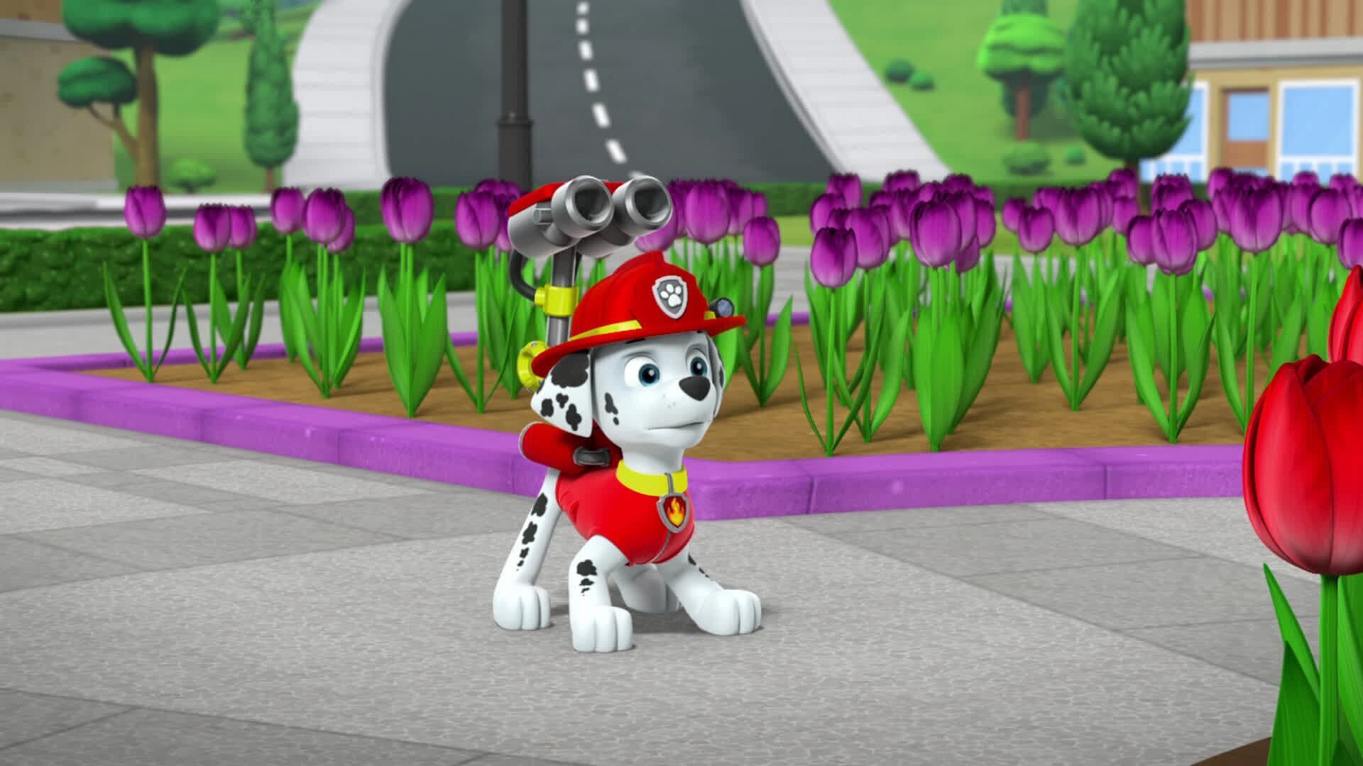 PAW Patrol – Helfer auf vier Pfoten