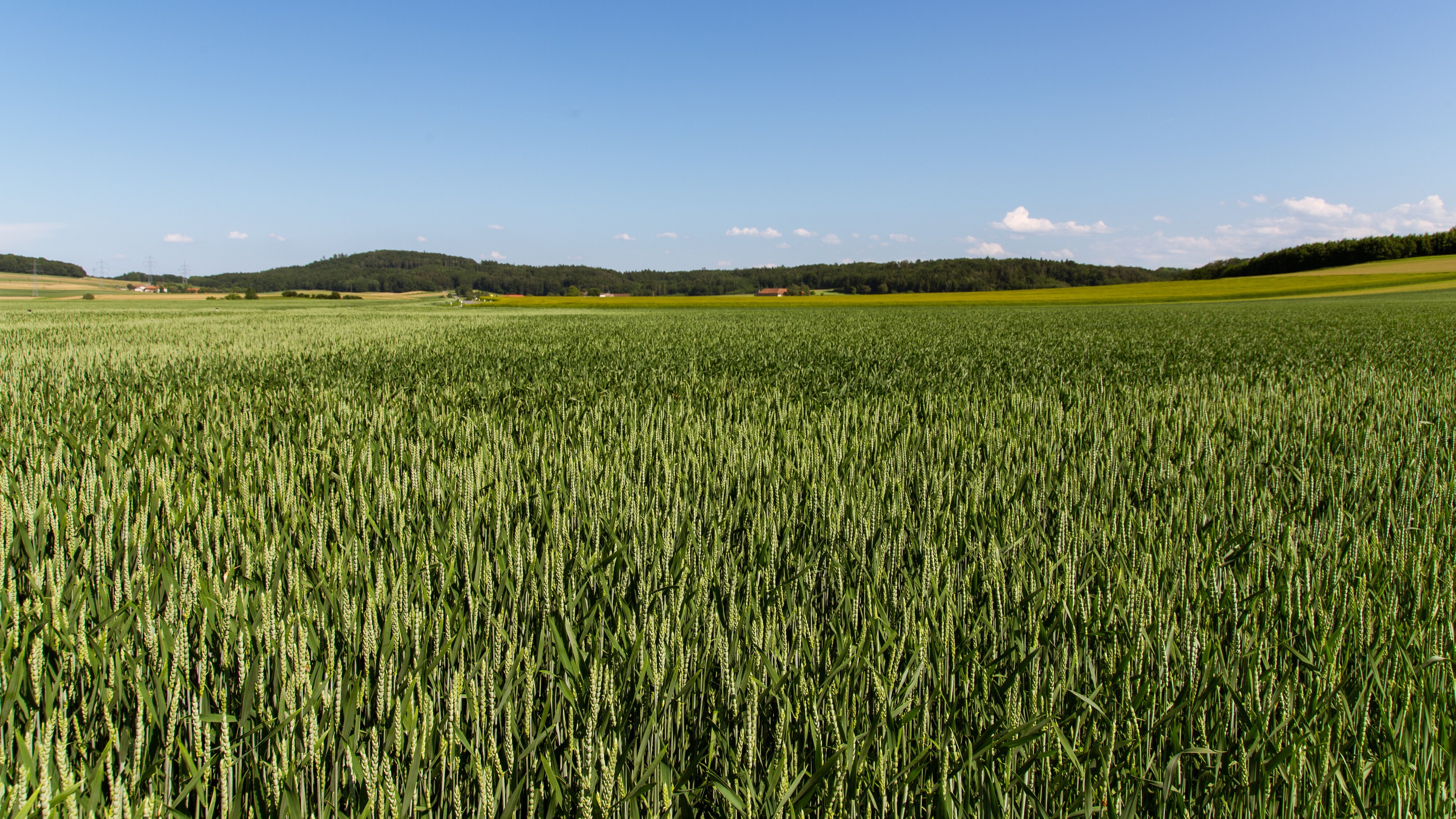 Die reisende Küche