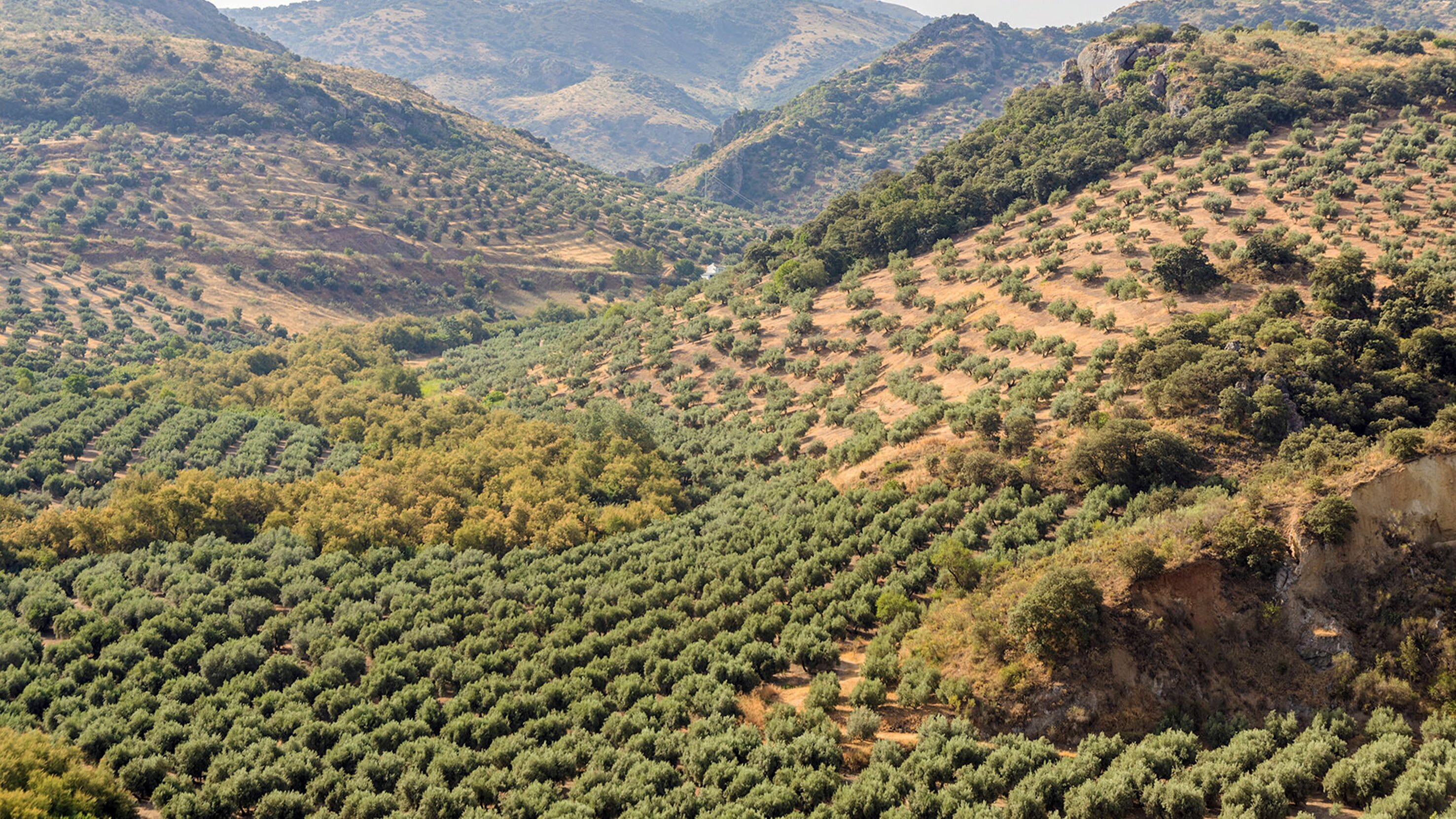 Abenteuer Spanien