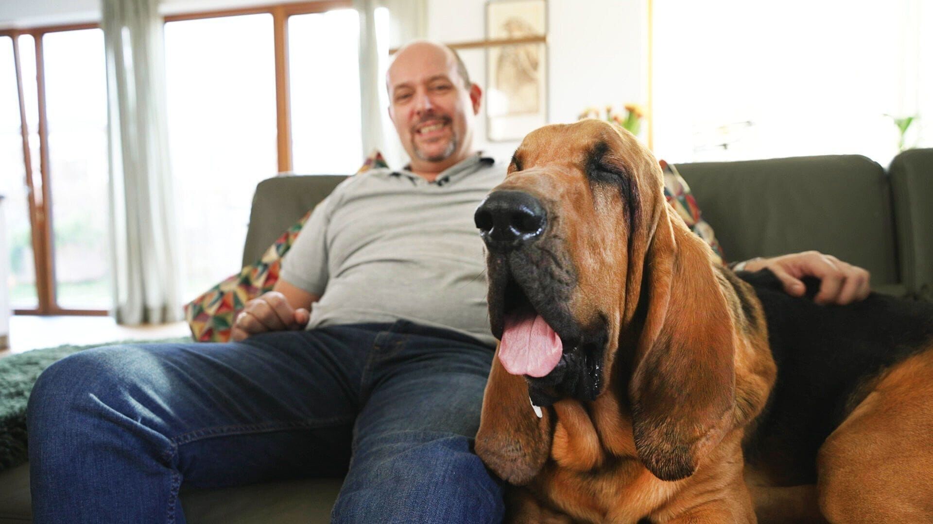 Die großen Hunde – Mit Martin Rütter