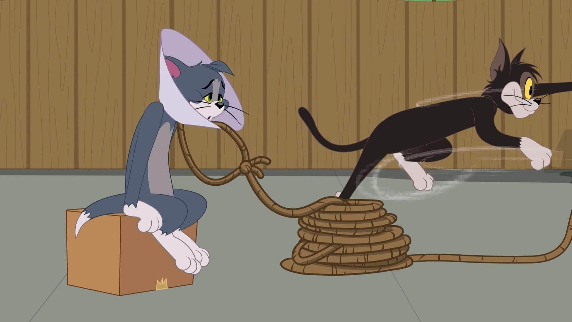 Die Tom und Jerry Show