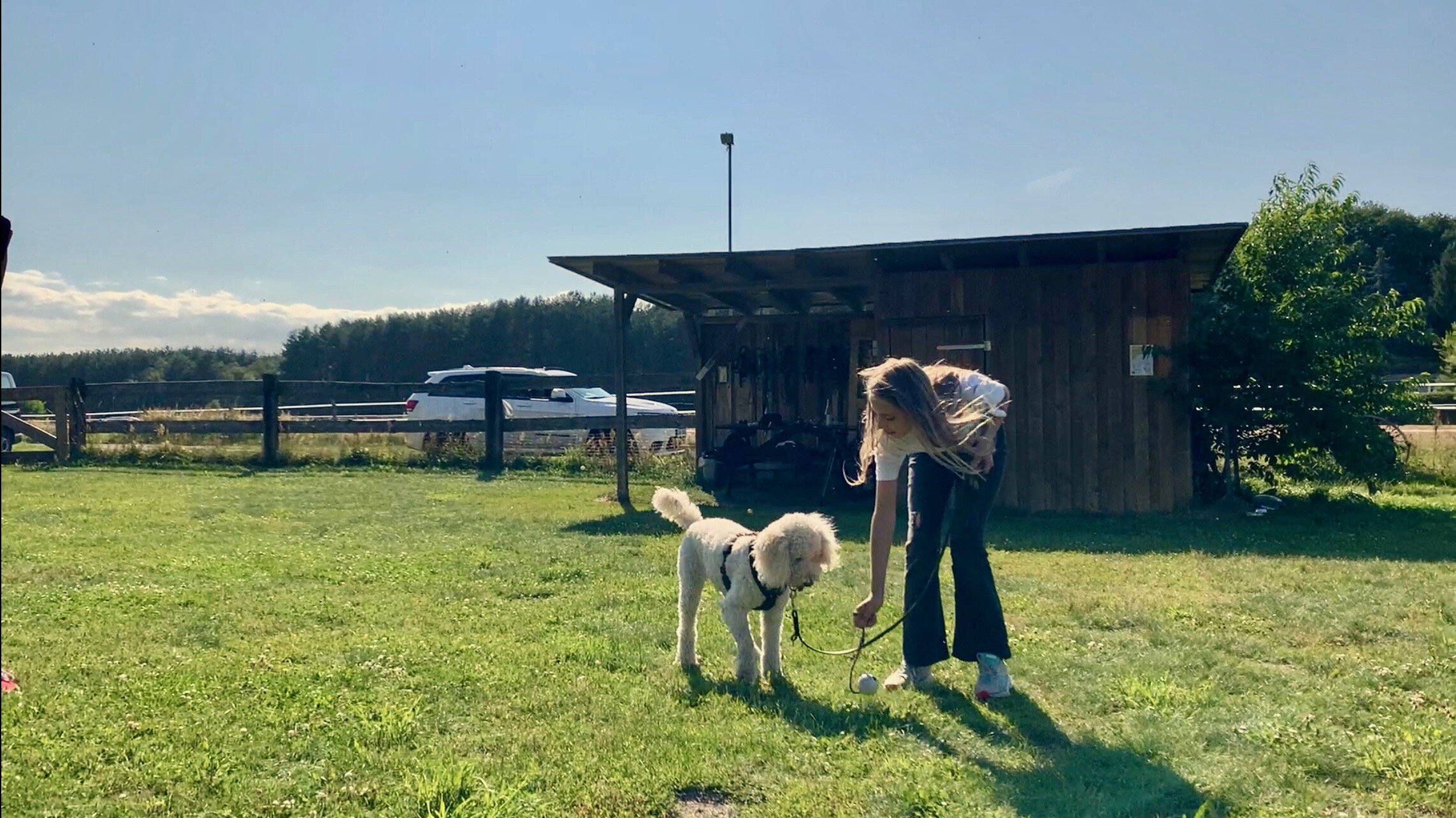 Liebste Fellnasen – Abenteuer Hundeschule