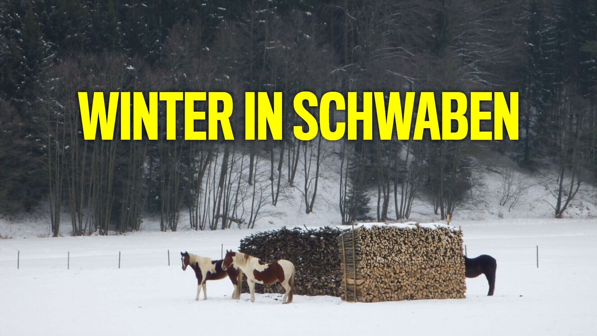 Winter in Schwaben