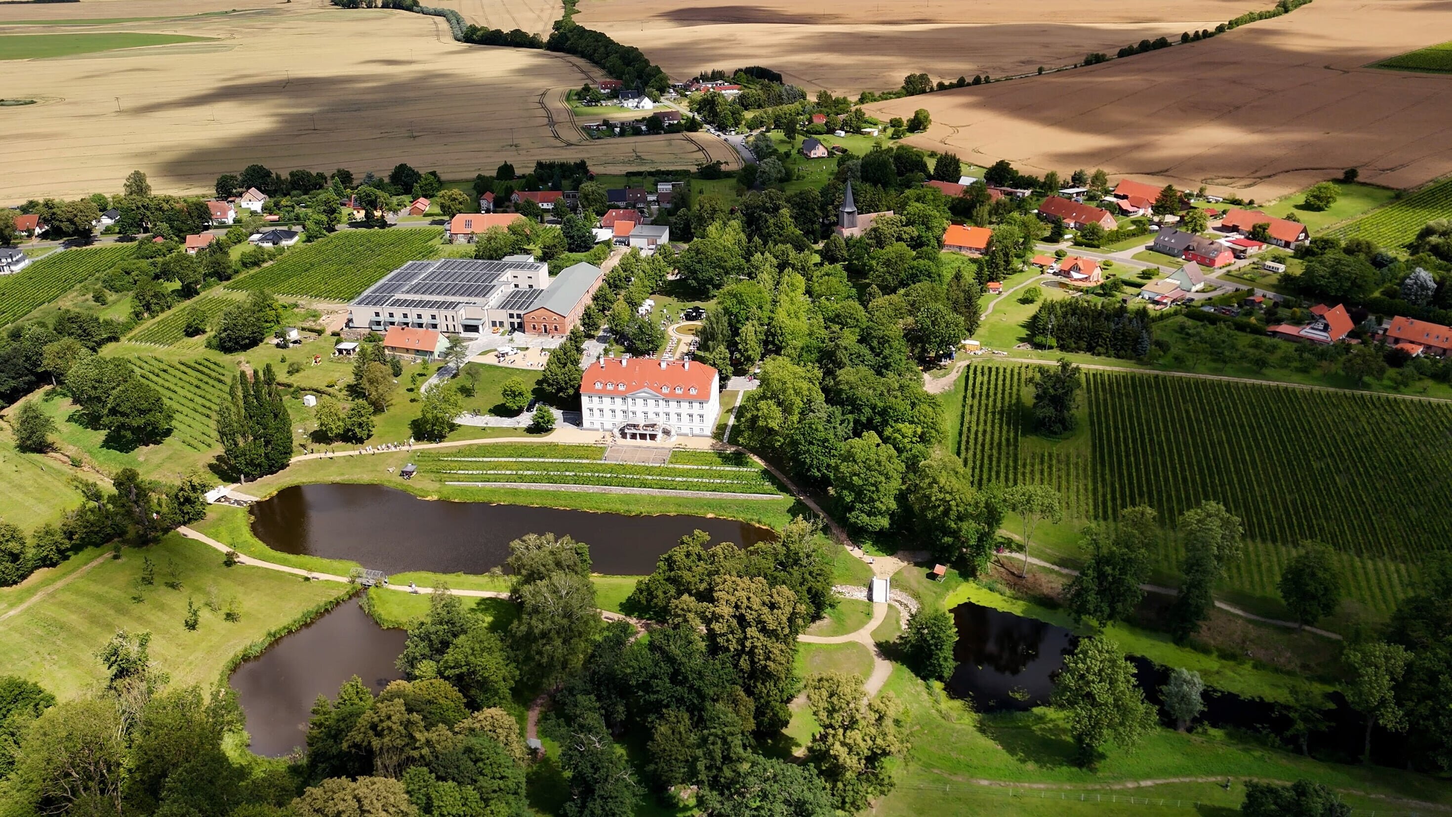 Weinanbau auf Schloss Rattey