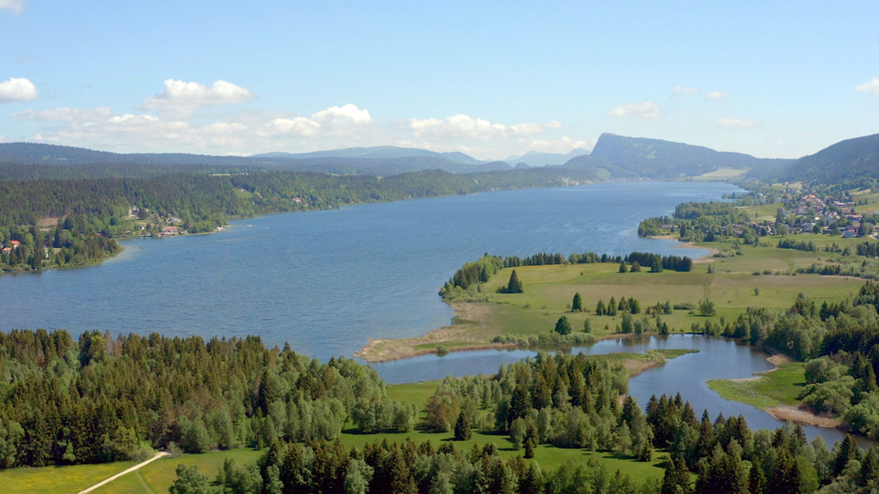 Wilde Schweiz