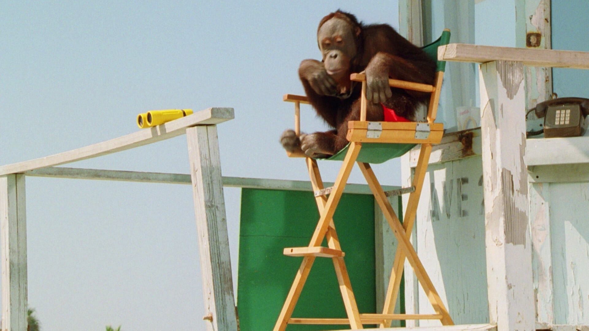 Baywatch – Die Rettungsschwimmer von Malibu