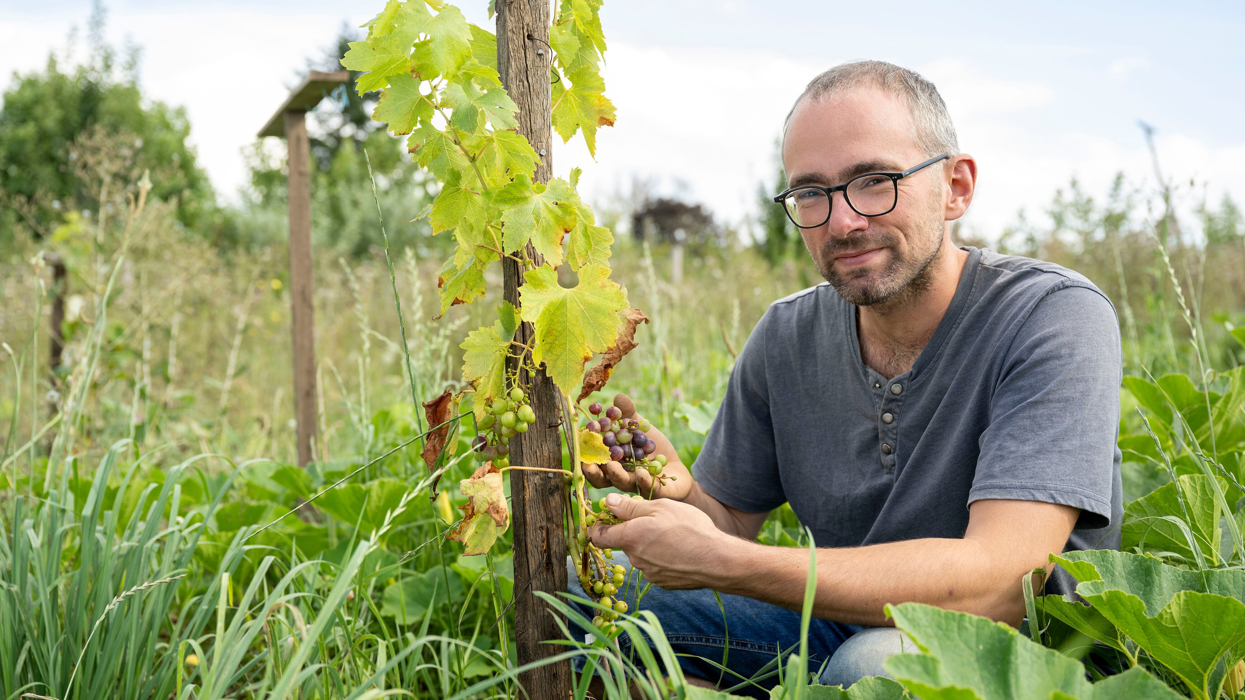 Garten & Lecker