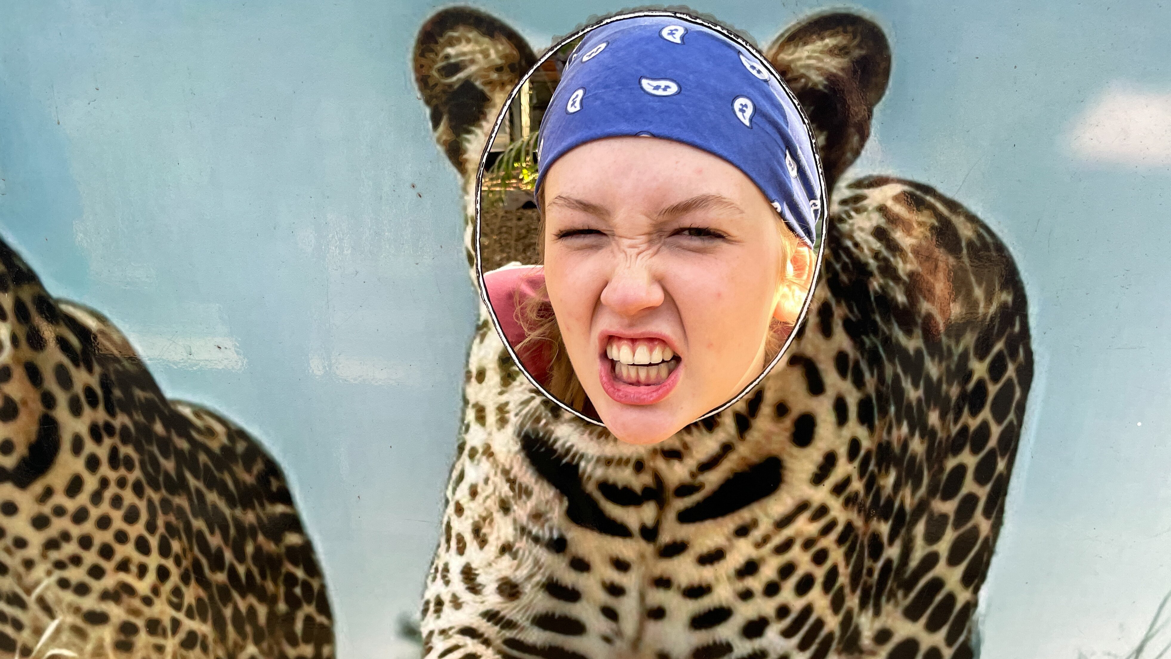 Nina und die wilden Tiere