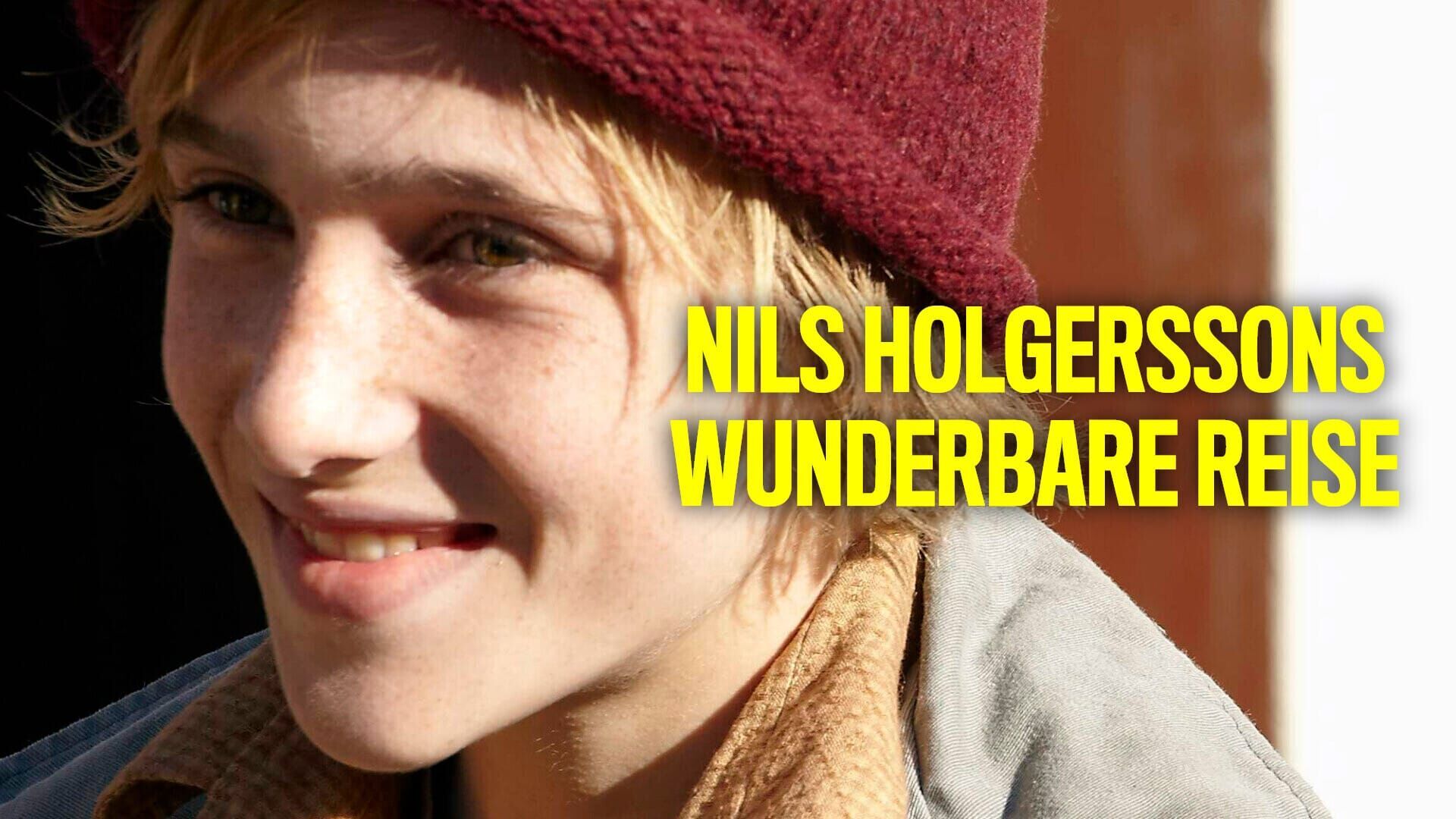 Nils Holgerssons wunderbare Reise