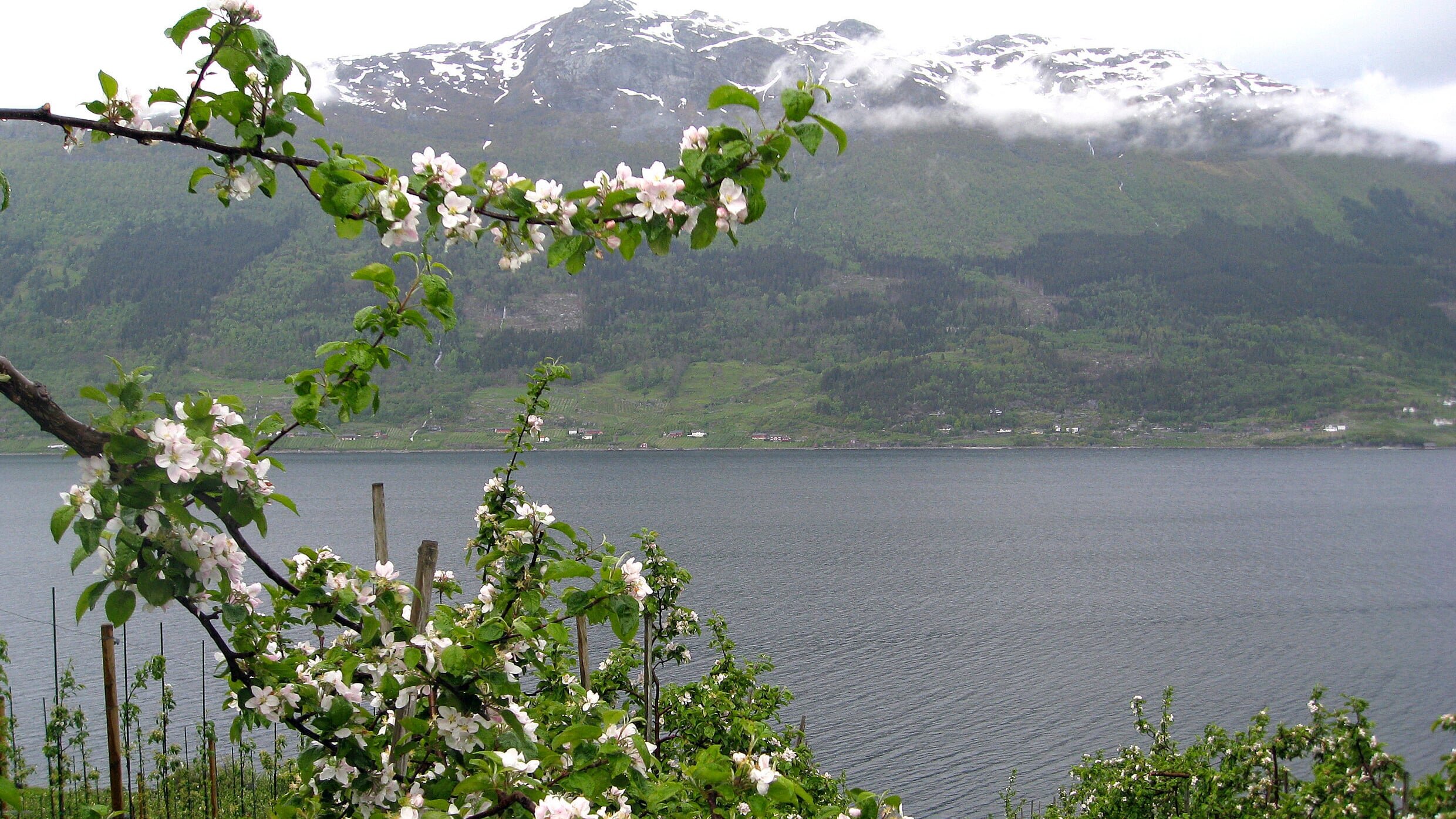 Norwegen: Leben am Hardangerfjord