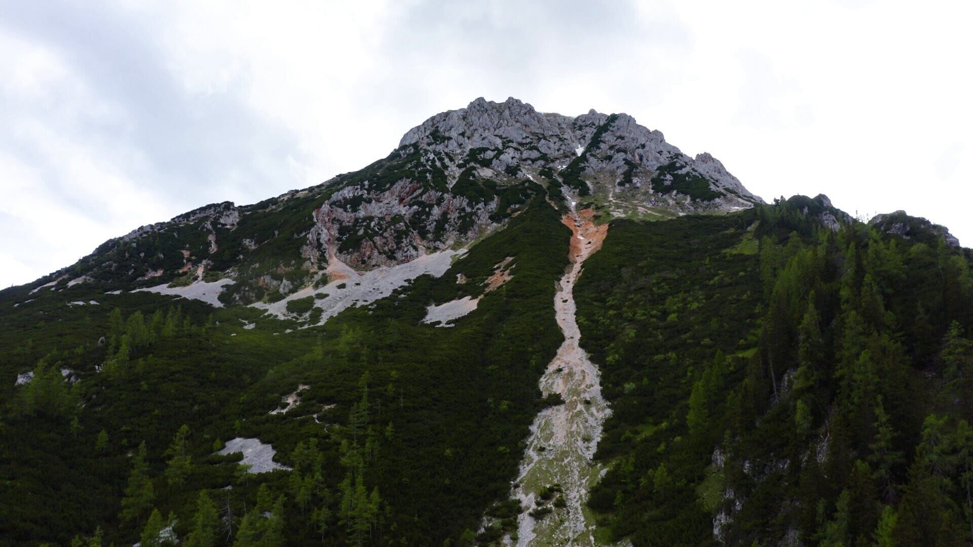 Ein Sommer in Österreich – Urlaub in rot-weiß-rot