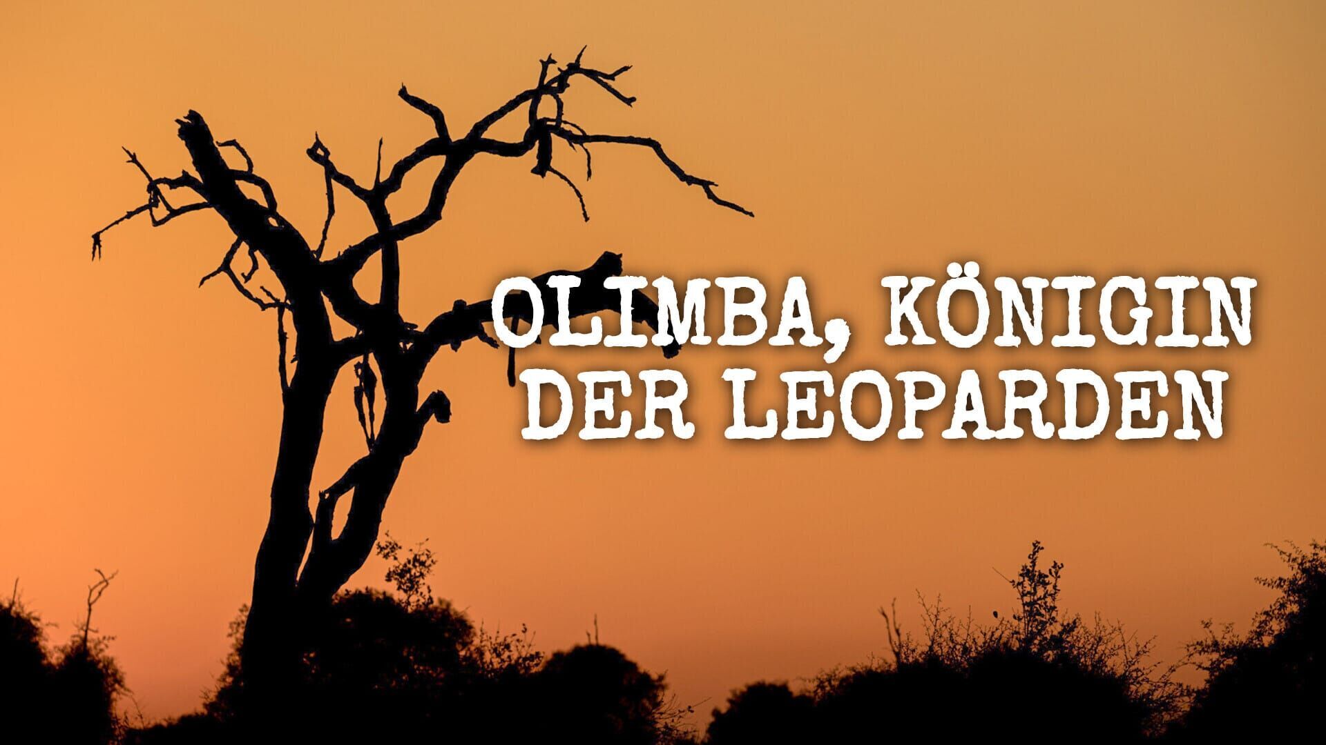 Olimba – Königin der Leoparden