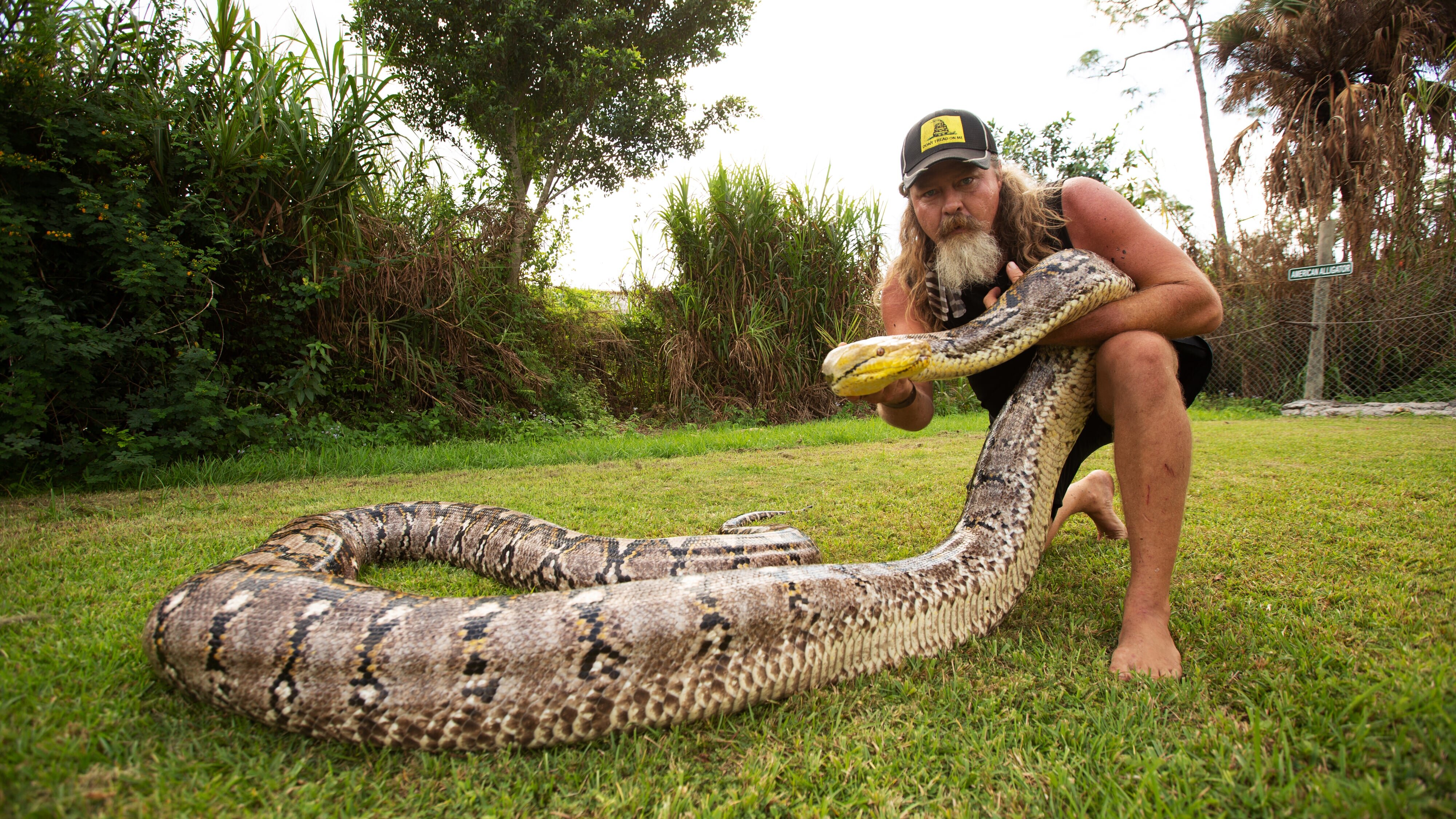 Die Pythonjäger – Einsatz in den Everglades