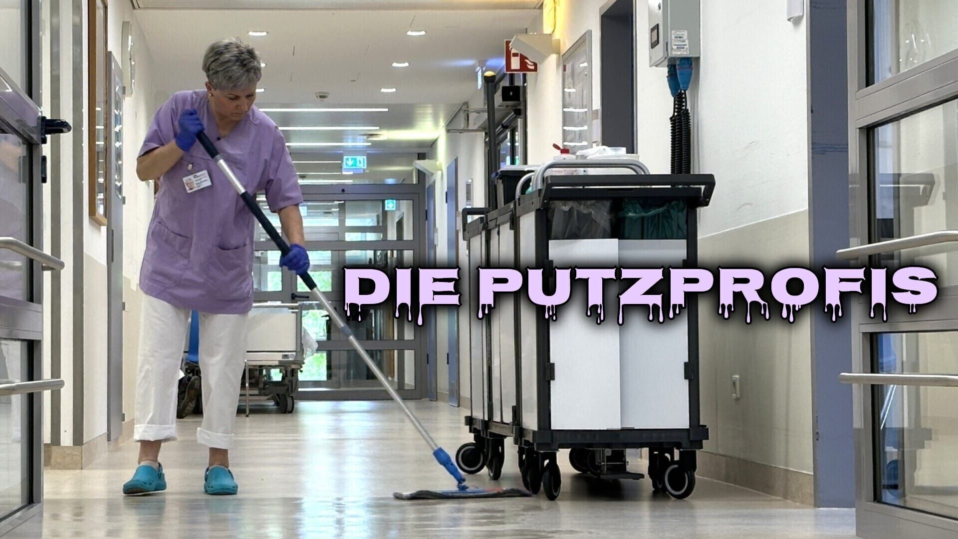 Die Putzprofis