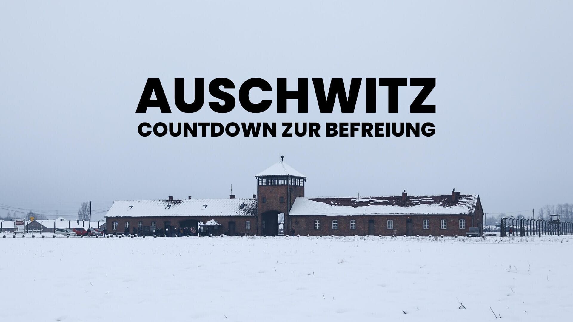 Auschwitz – Countdown zur Befreiung