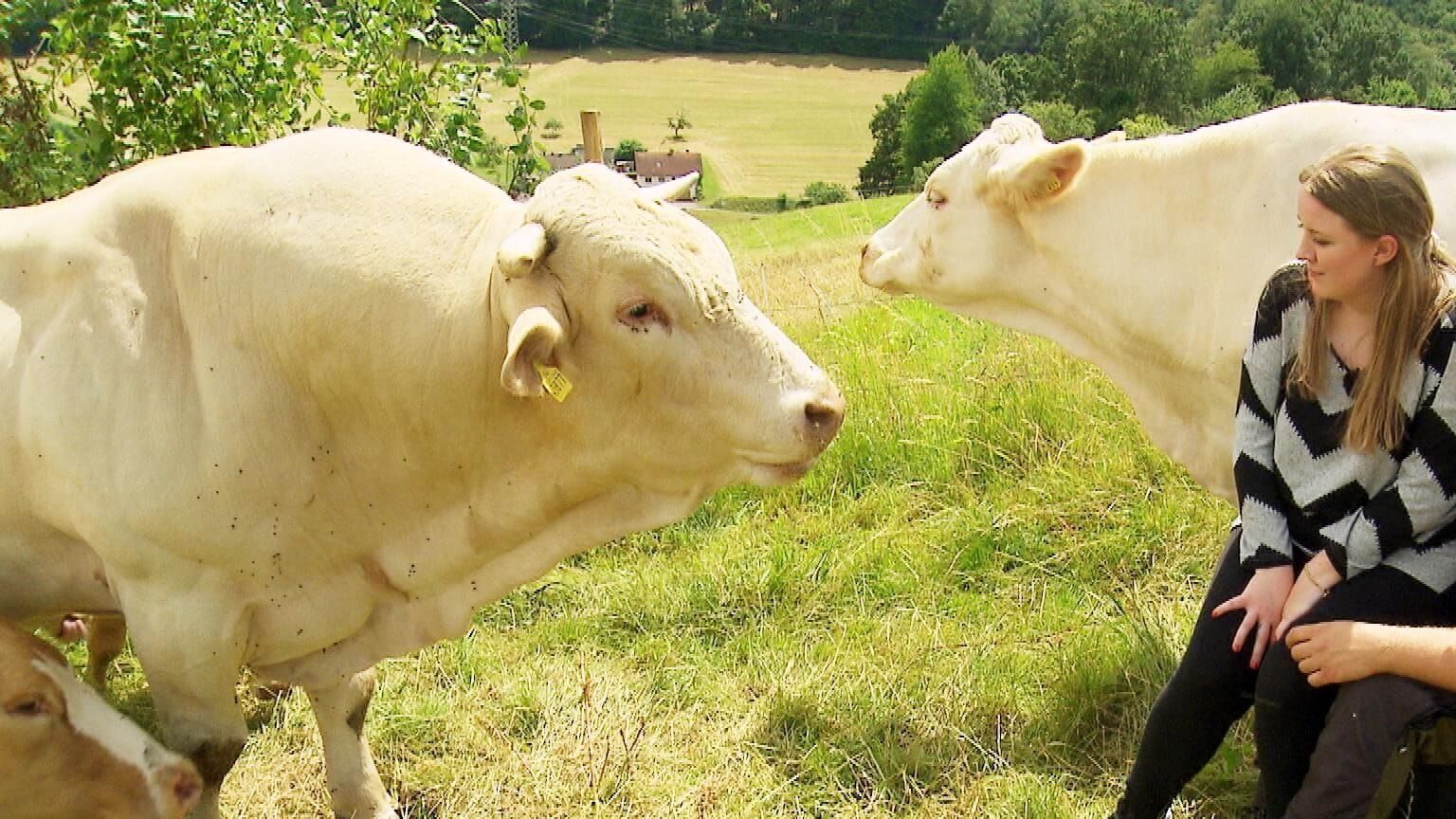 Bauer sucht Frau