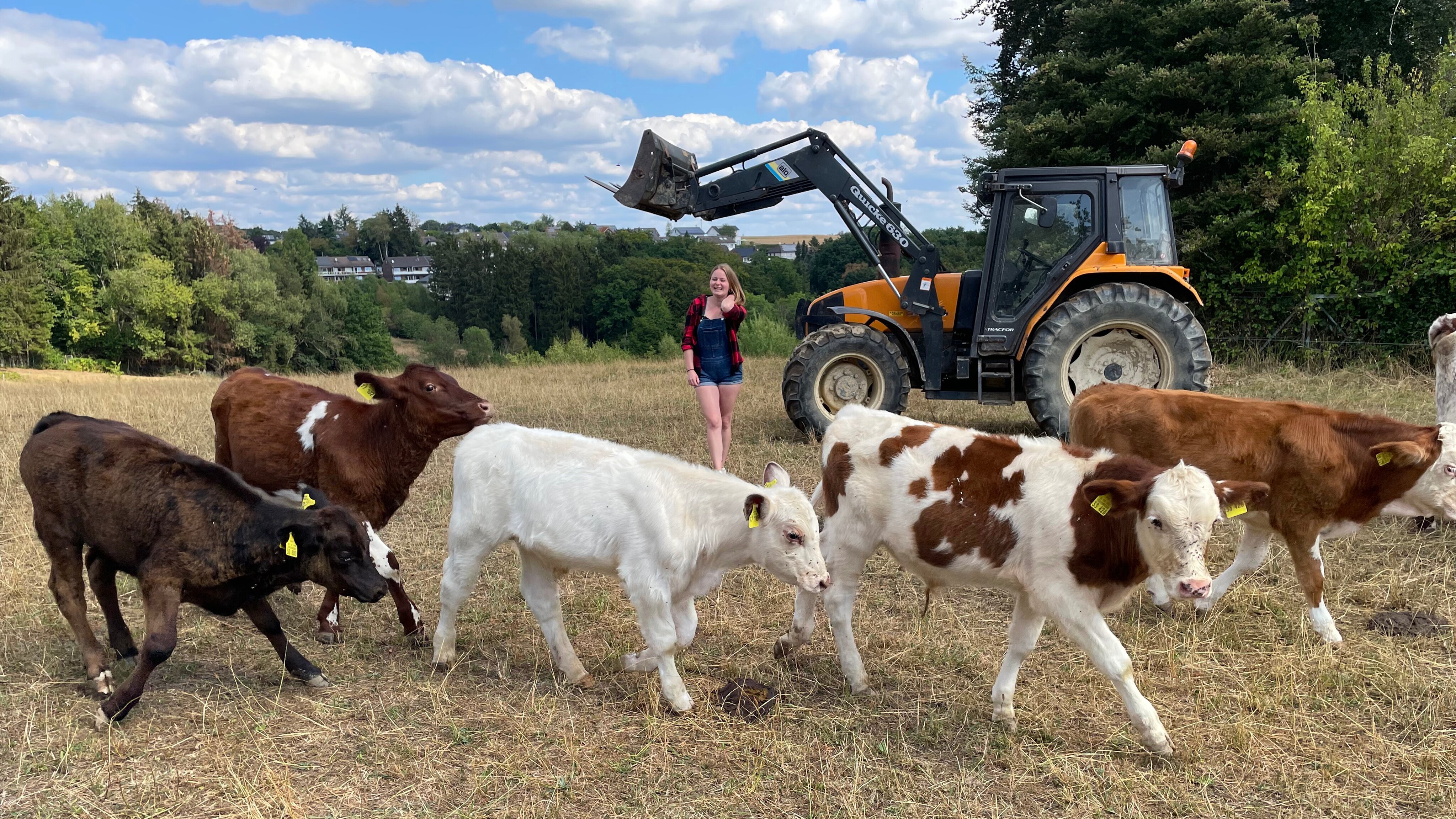 Unsere eigene Farm