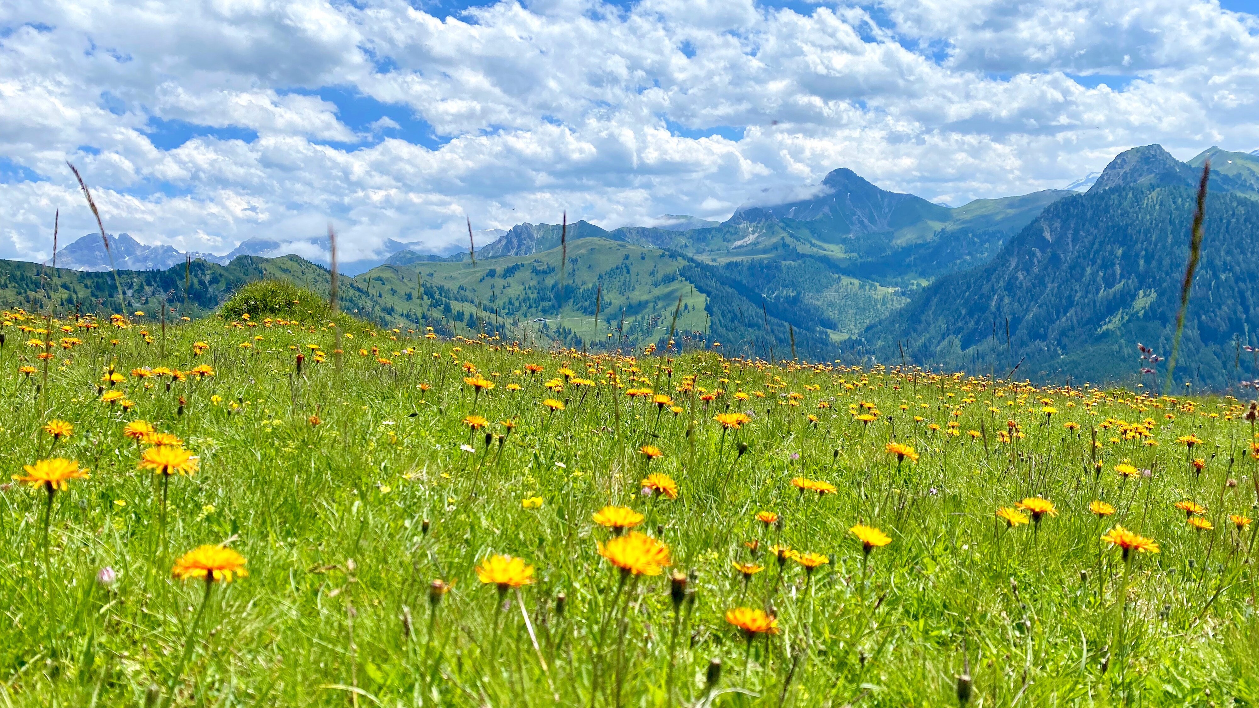 In den Hohen Tauern