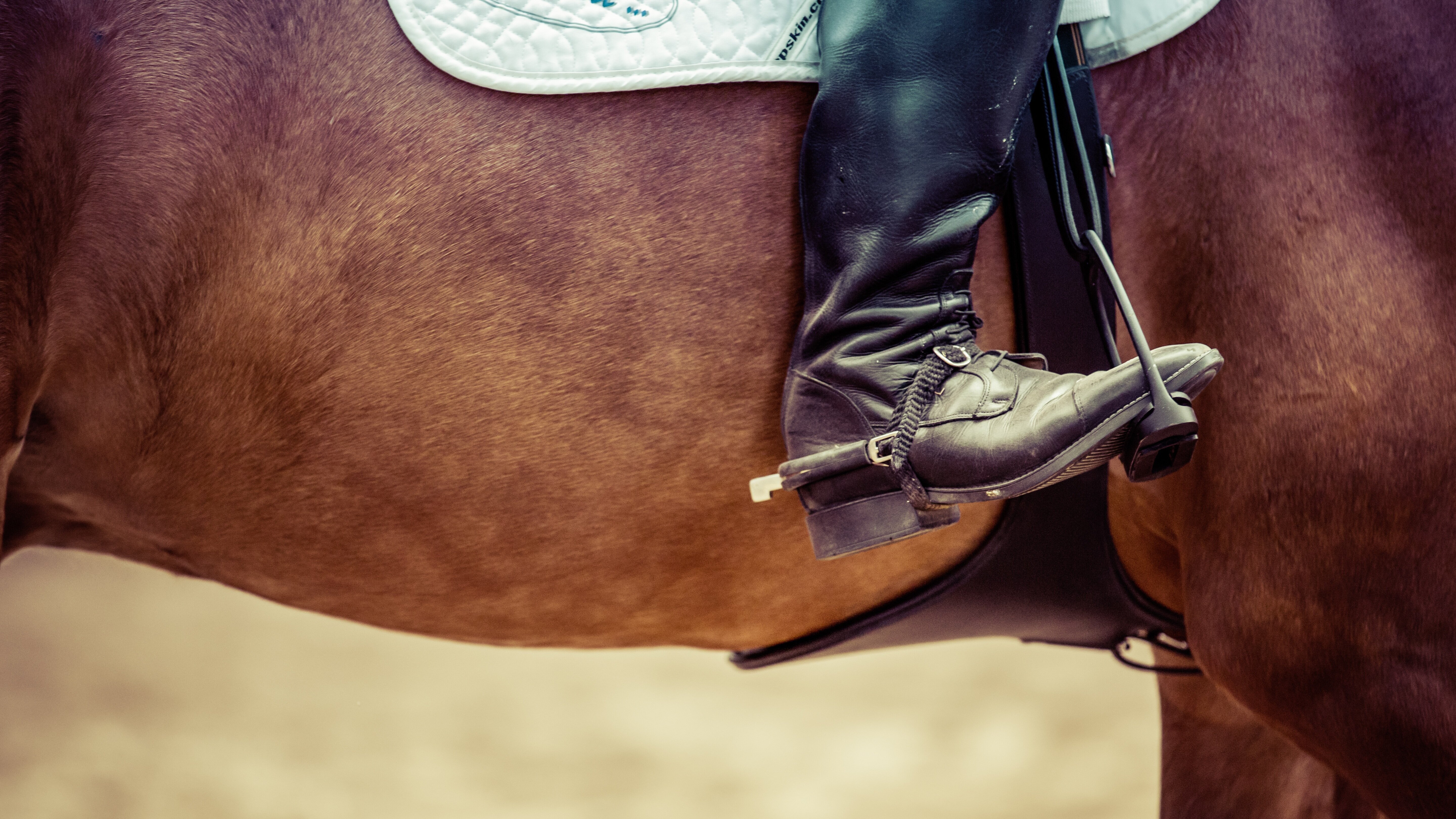 Springreiten: Global Champions Tour