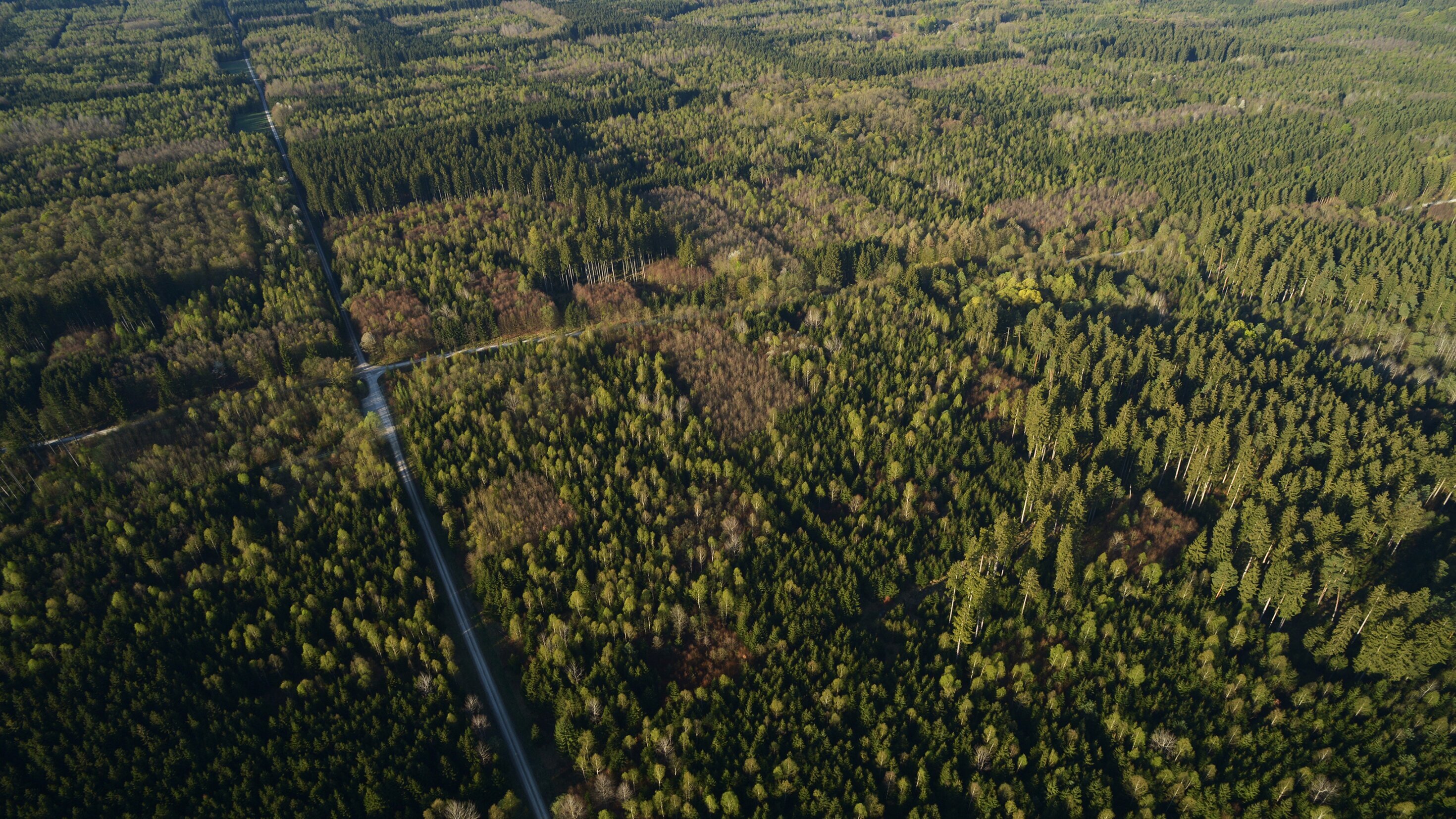 Unsere Wälder