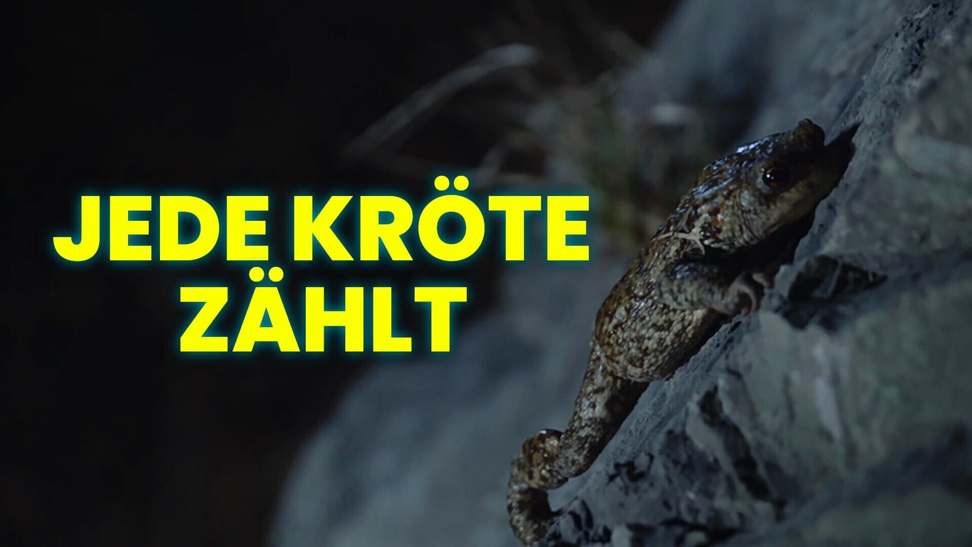 Jede Kröte zählt