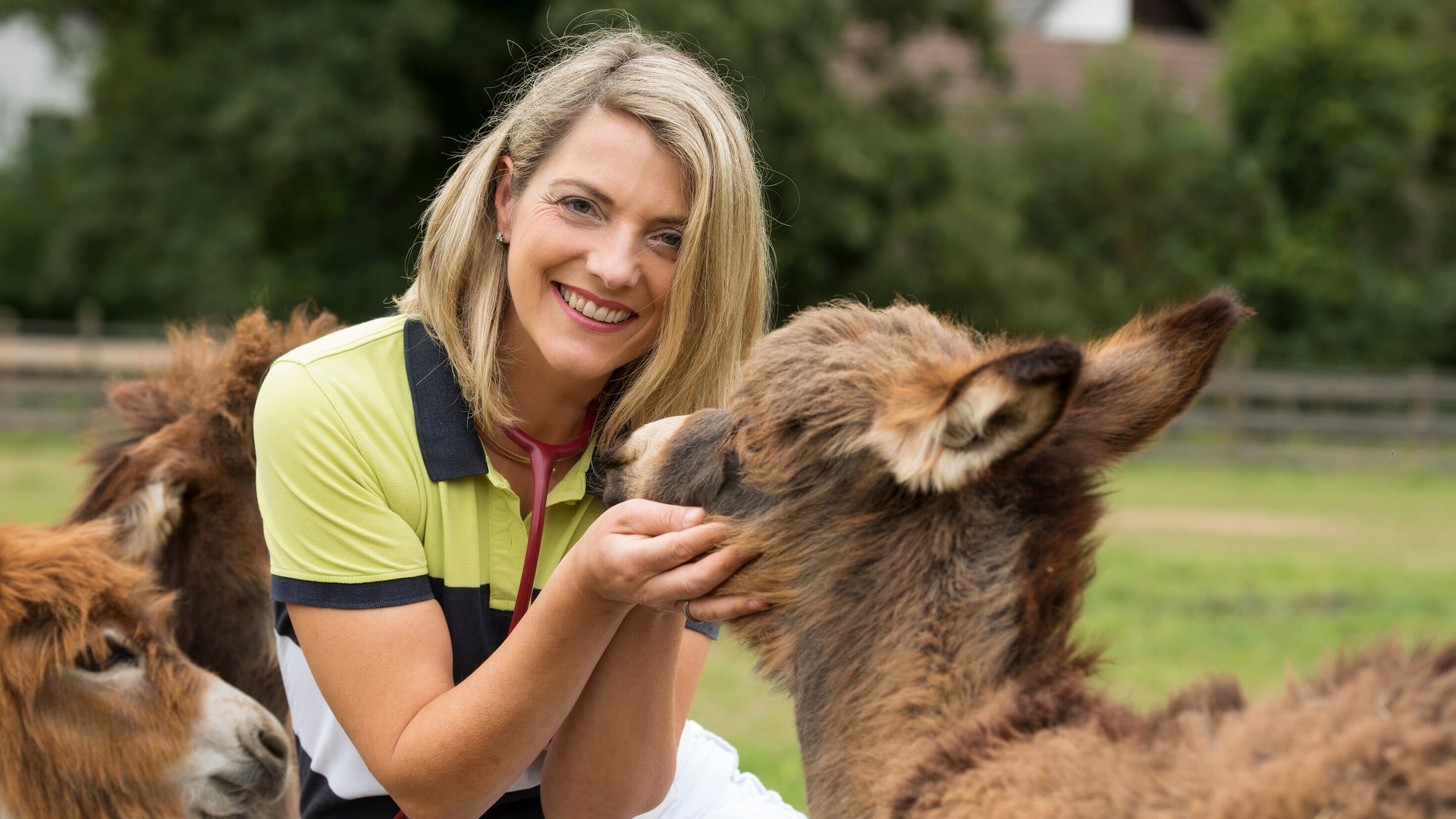 Die Tierärzte – Retter mit Herz