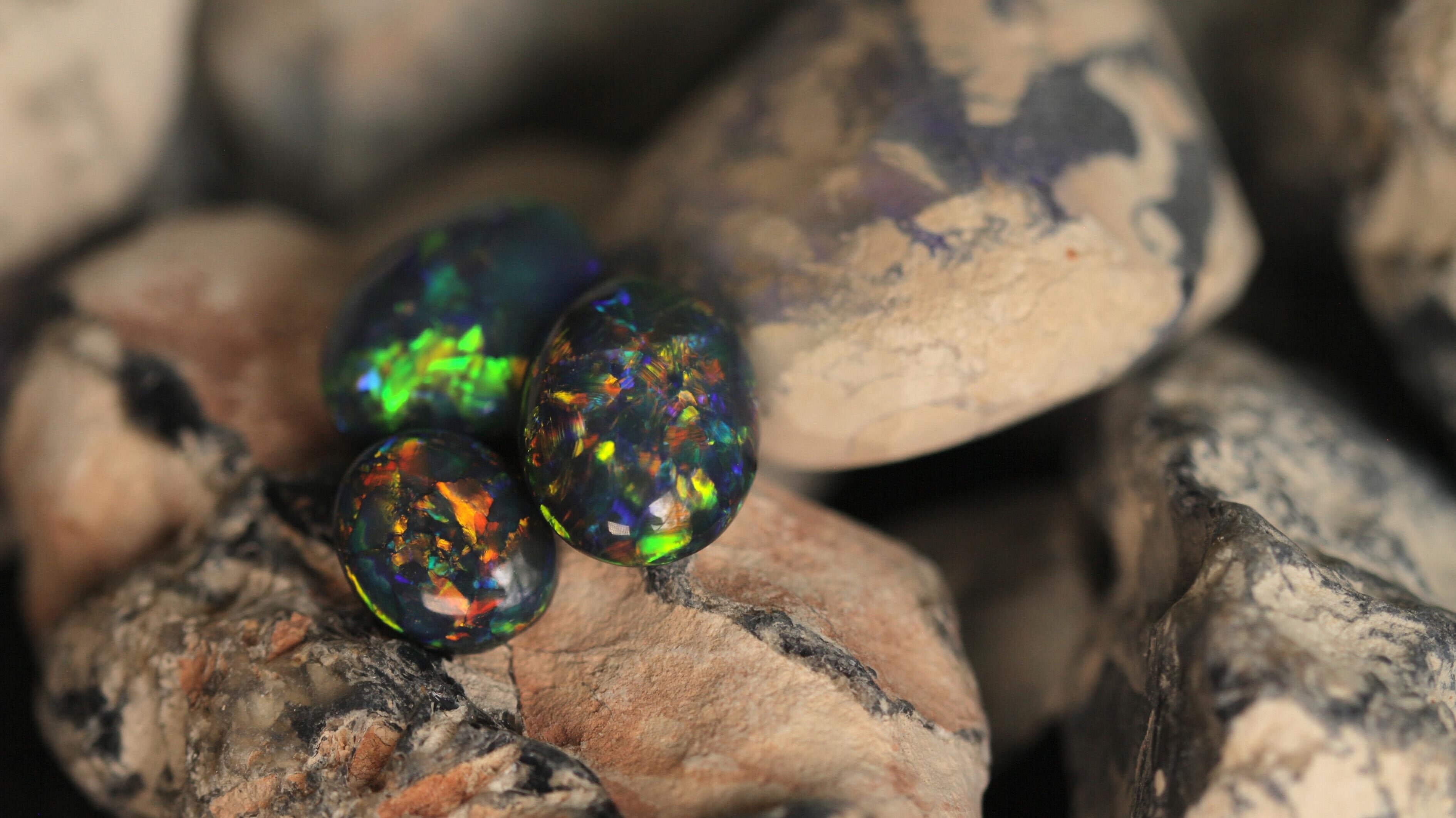 Outback Opal Hunters – Edelsteinjagd in Australien