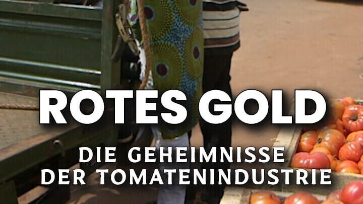 Rotes Gold – Die Geheimnisse der Tomatenindustrie