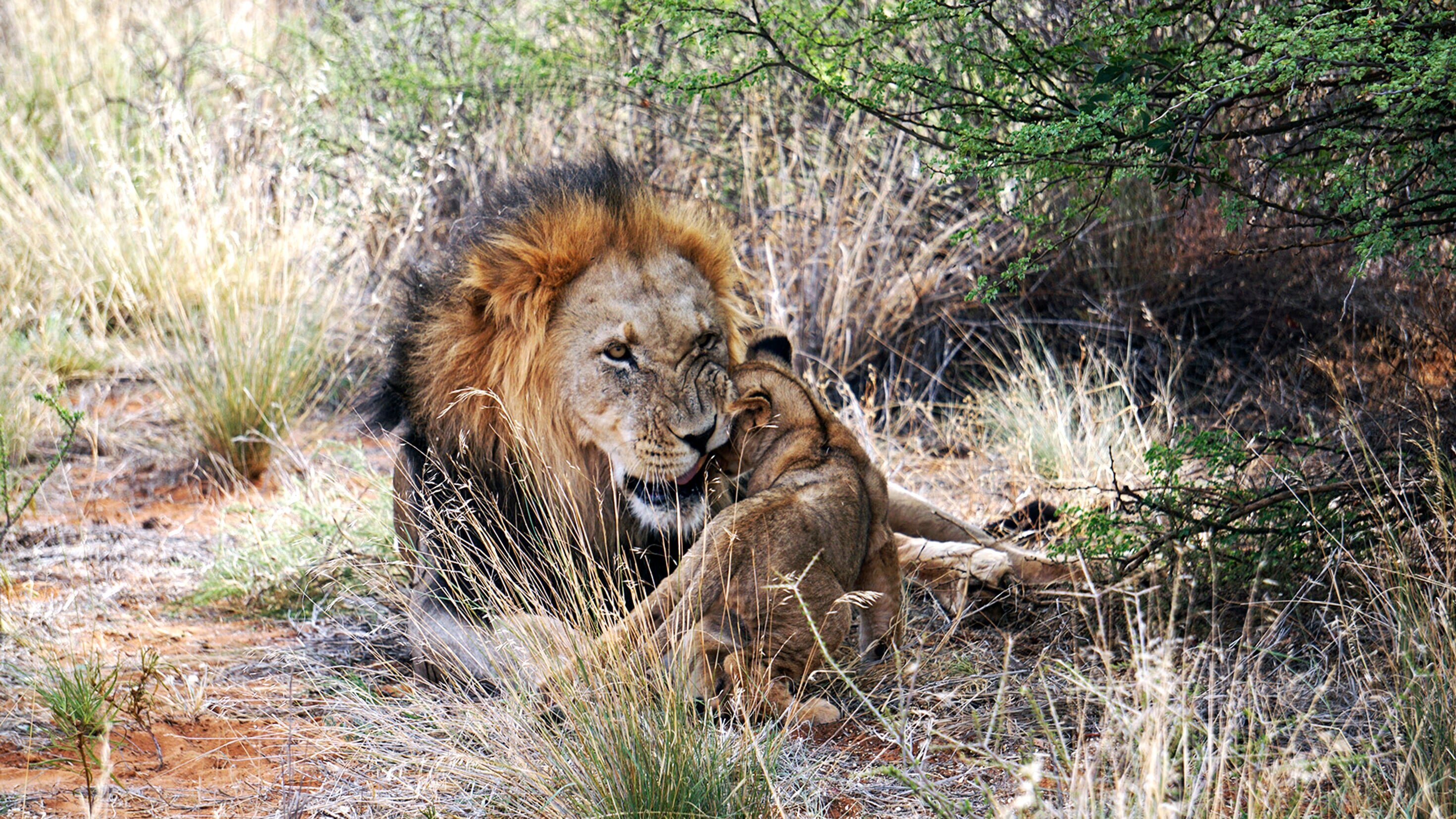 Von Kapstadt in die Kalahari – Südafrikas unbekannter Westen