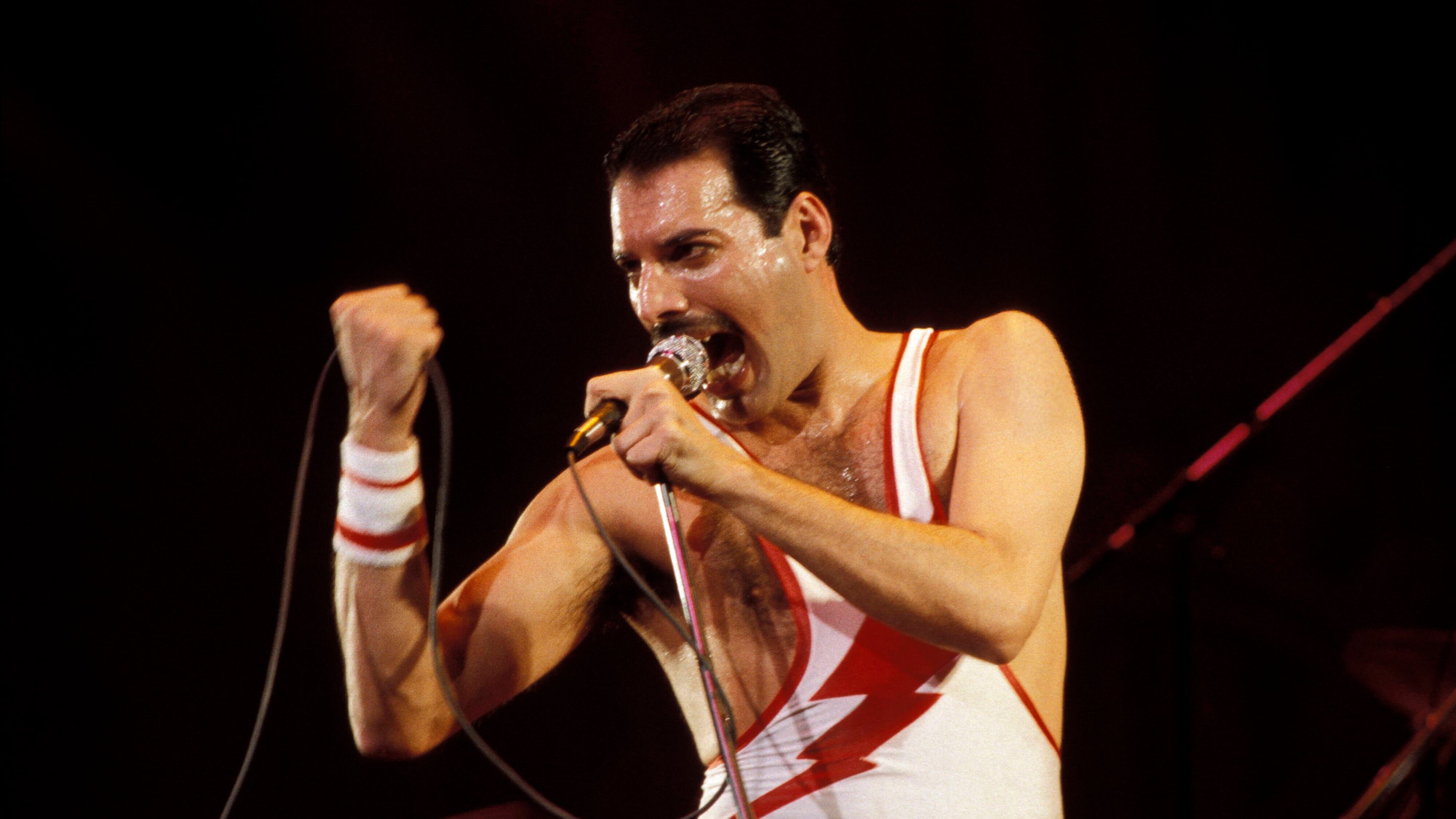 Freddie Mercury: Der letzte Akt