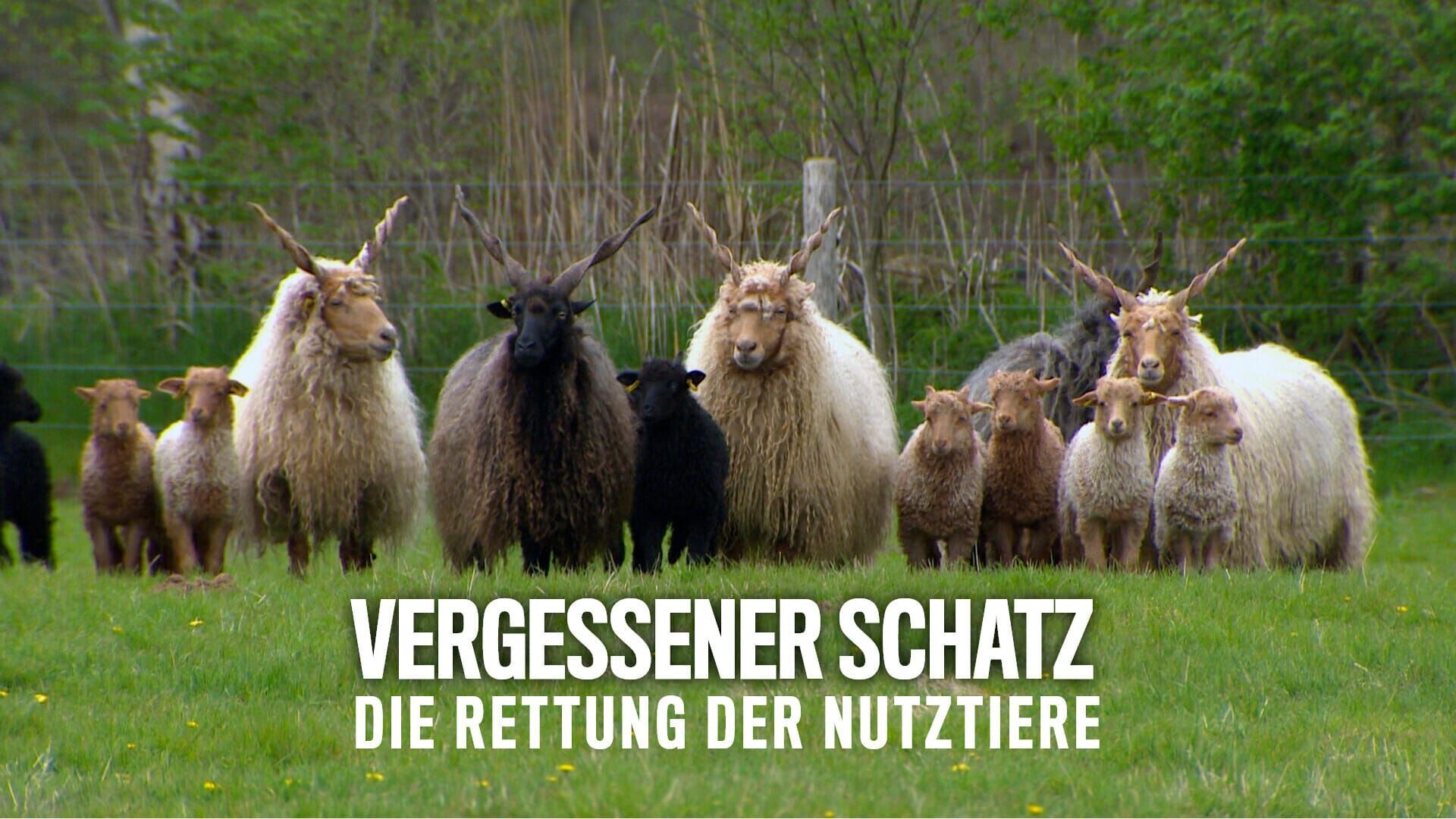 Vergessener Schatz