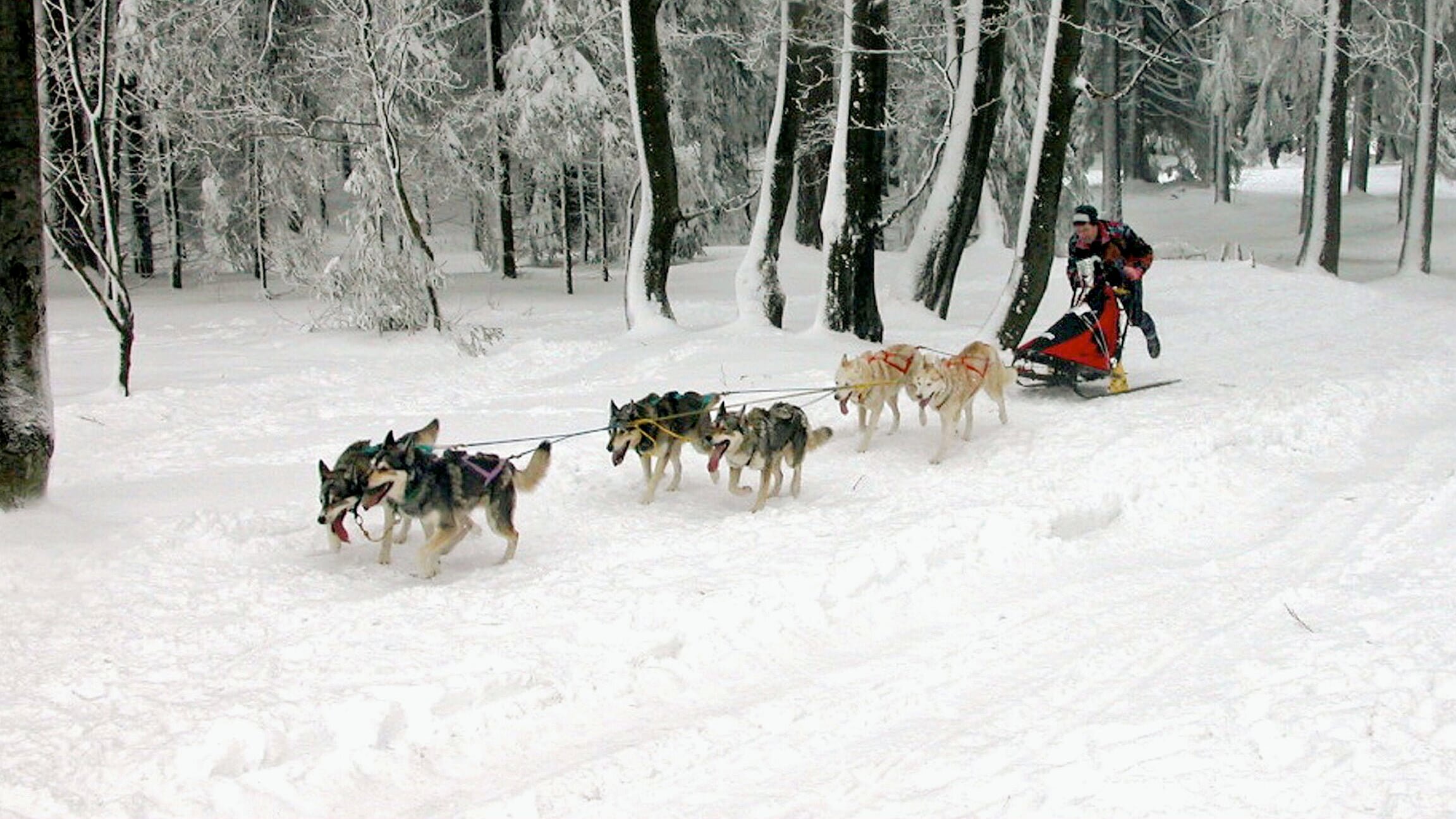 Winterzauber in Japan