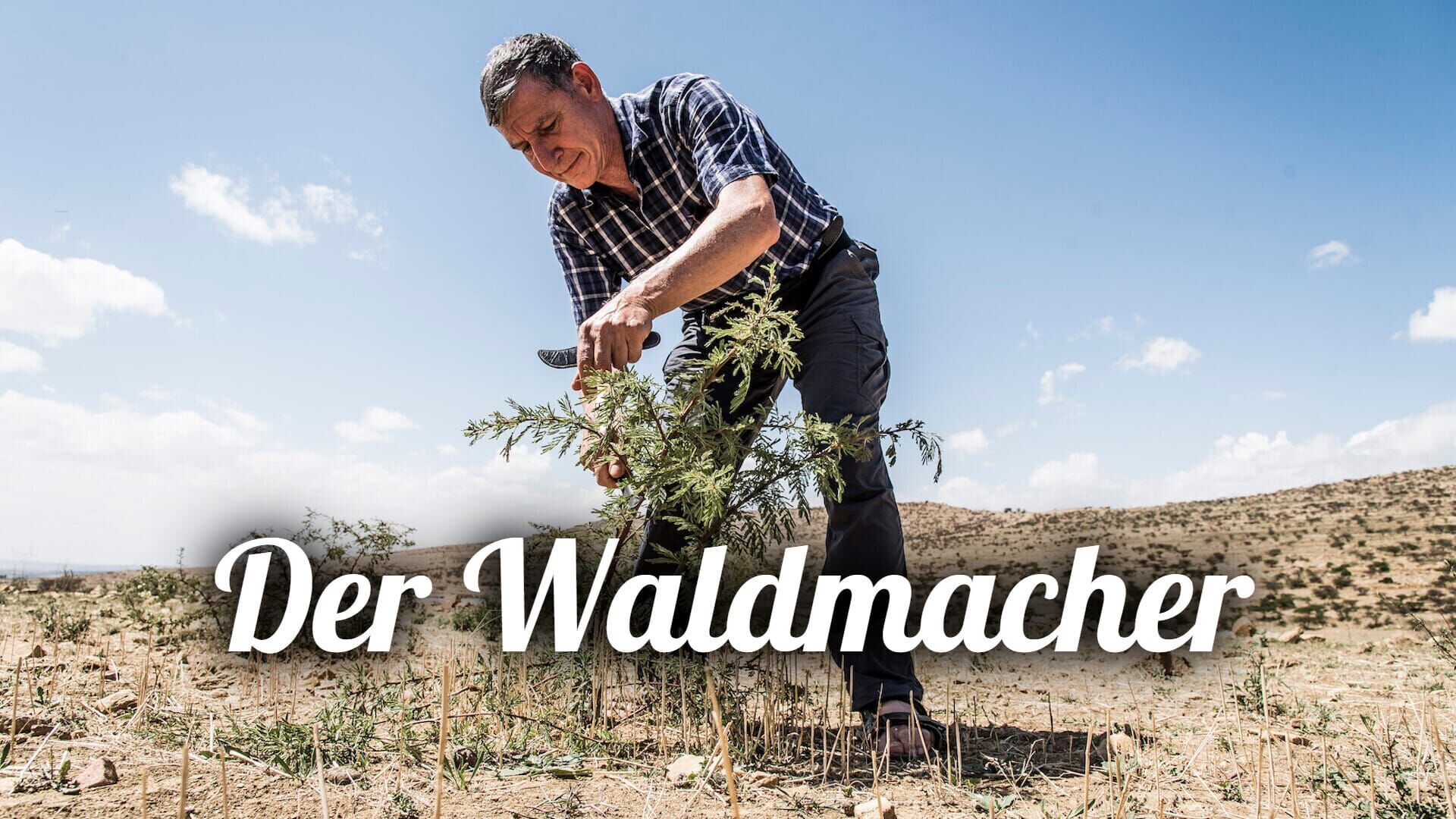 Der Waldmacher